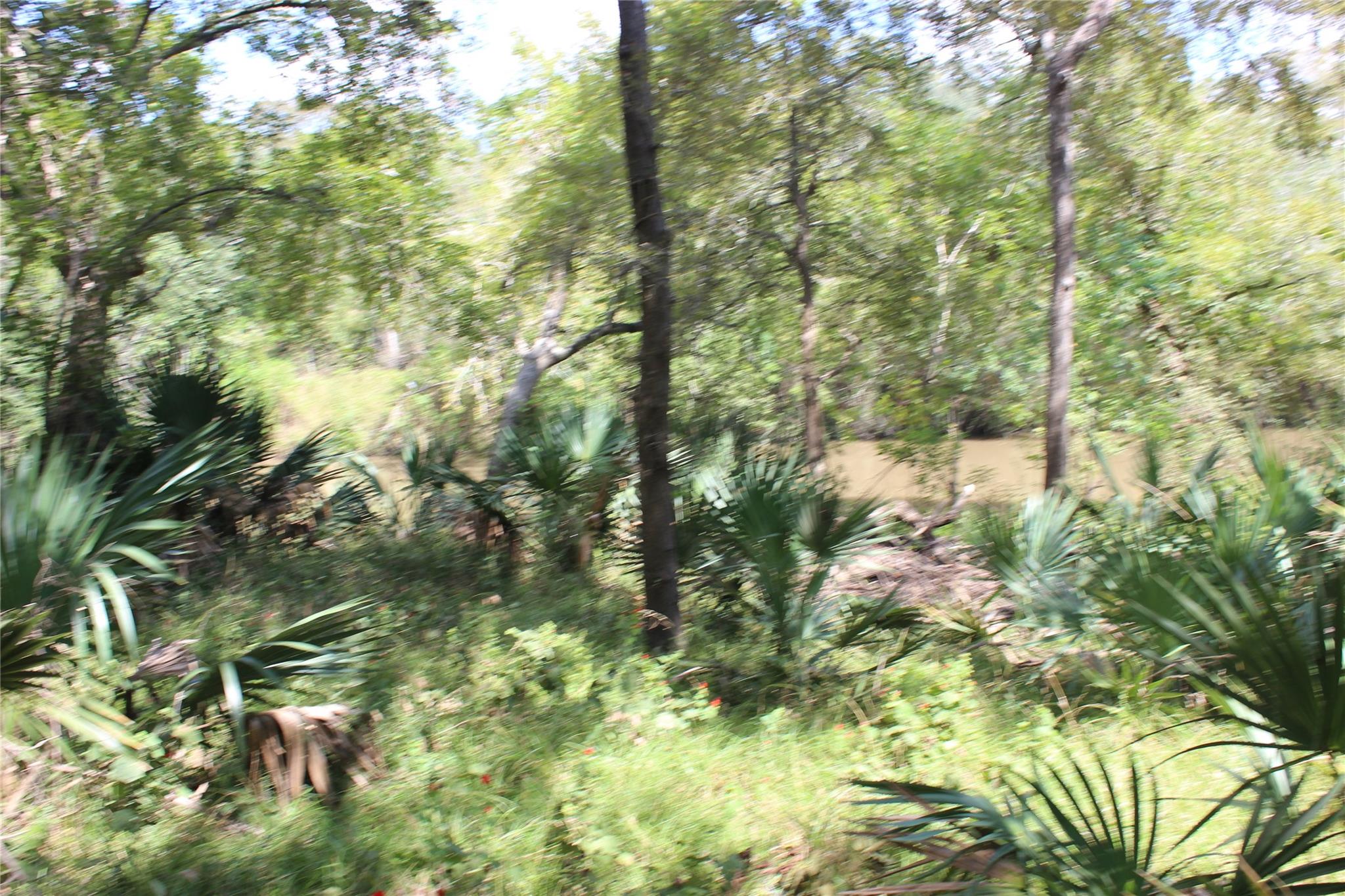 226 River Tree Drive, Blessing Tx 77419 Property Photo 9
