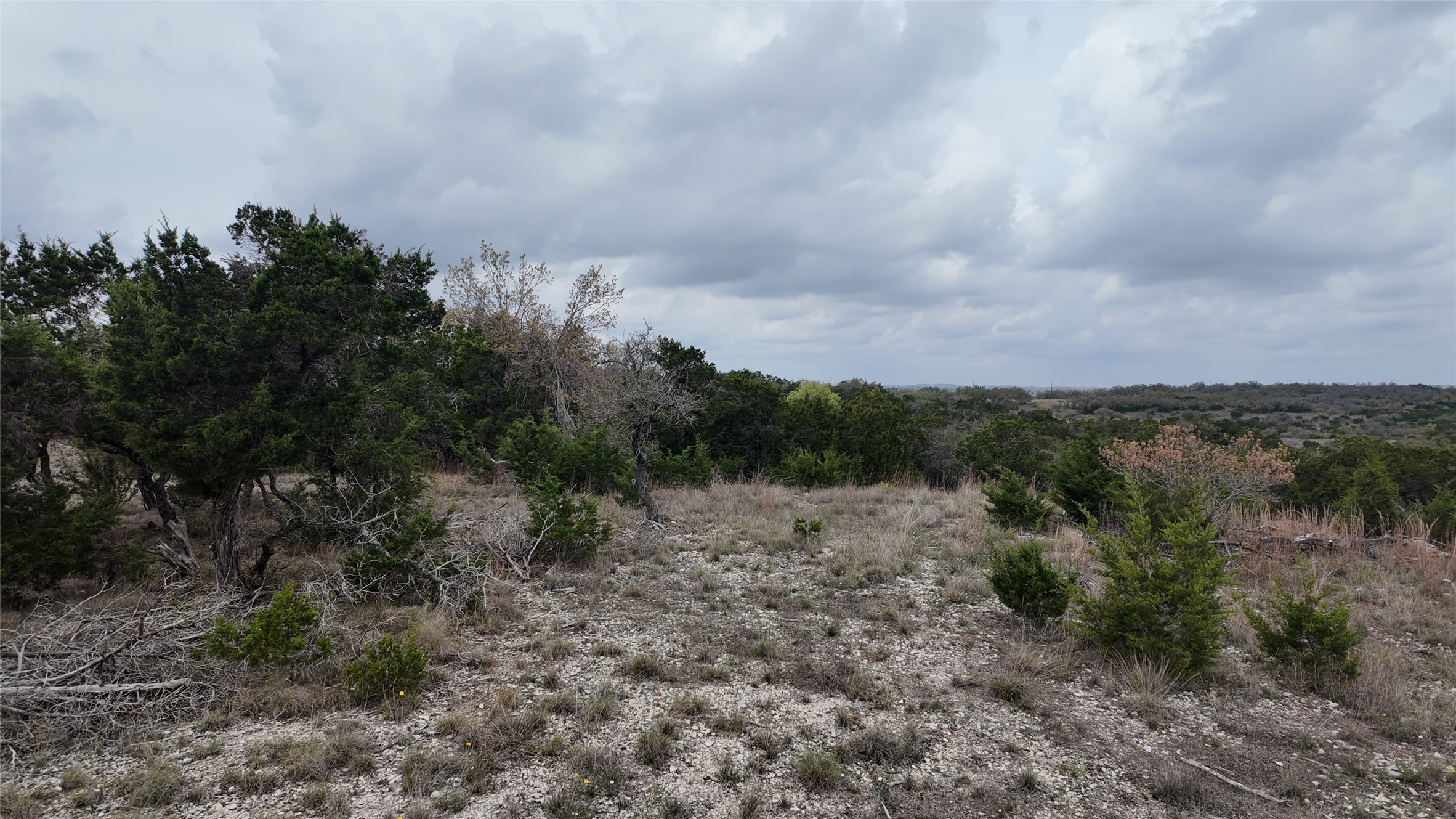12621 Fitzhugh Road Property Photo 16