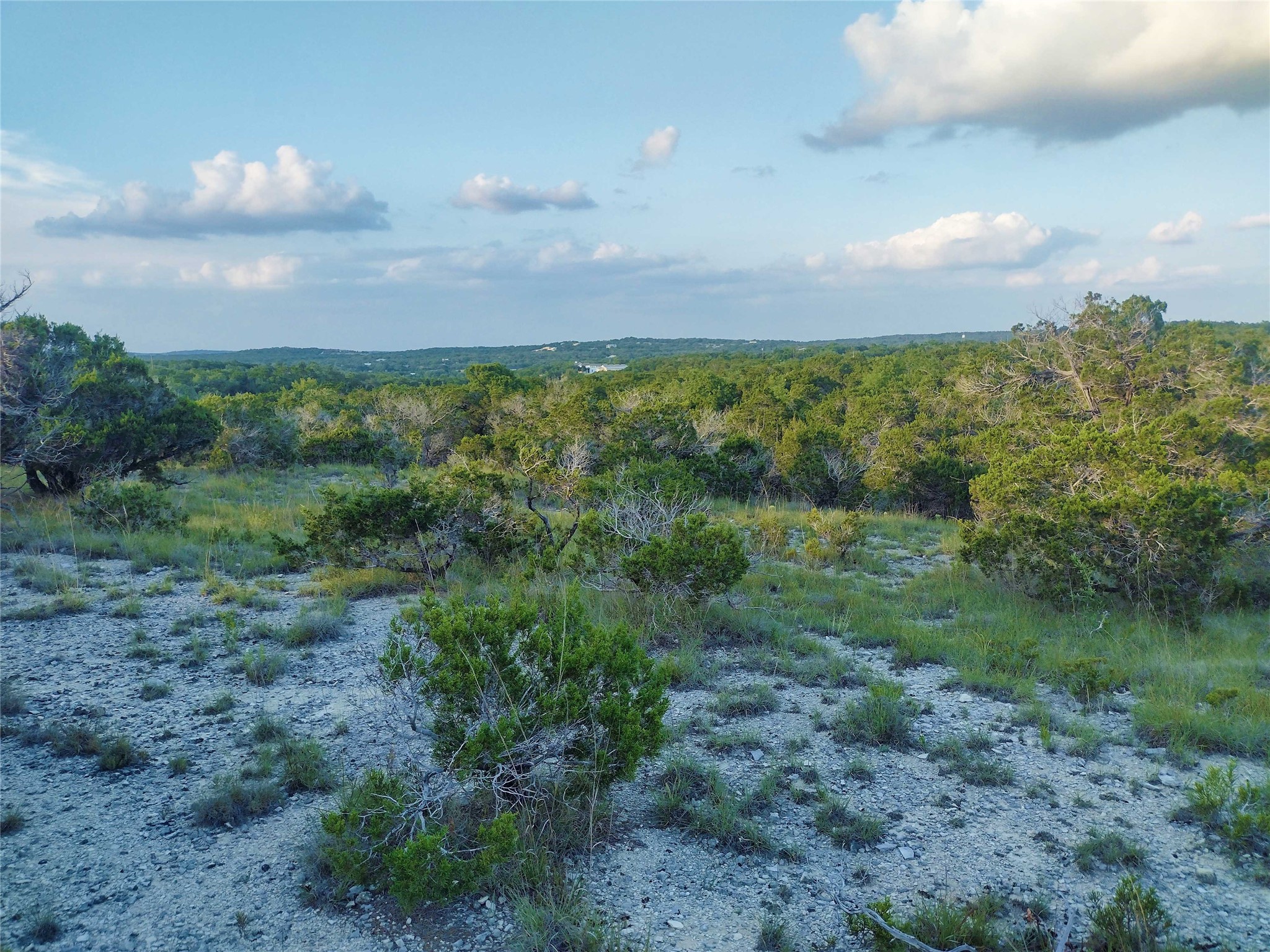 12621 Fitzhugh Road Property Photo 39