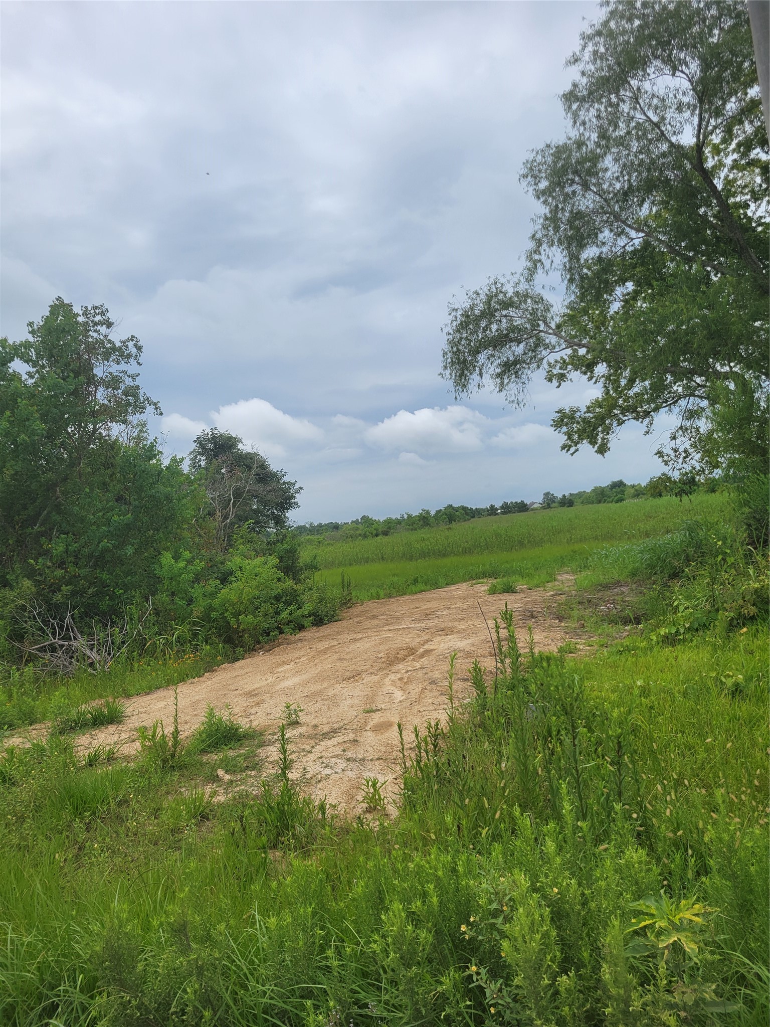 1585 Fm 686 Property Photo 6
