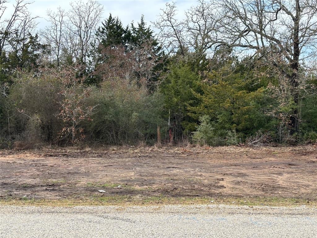 Tbd Shadow Oak Drive Property Photo