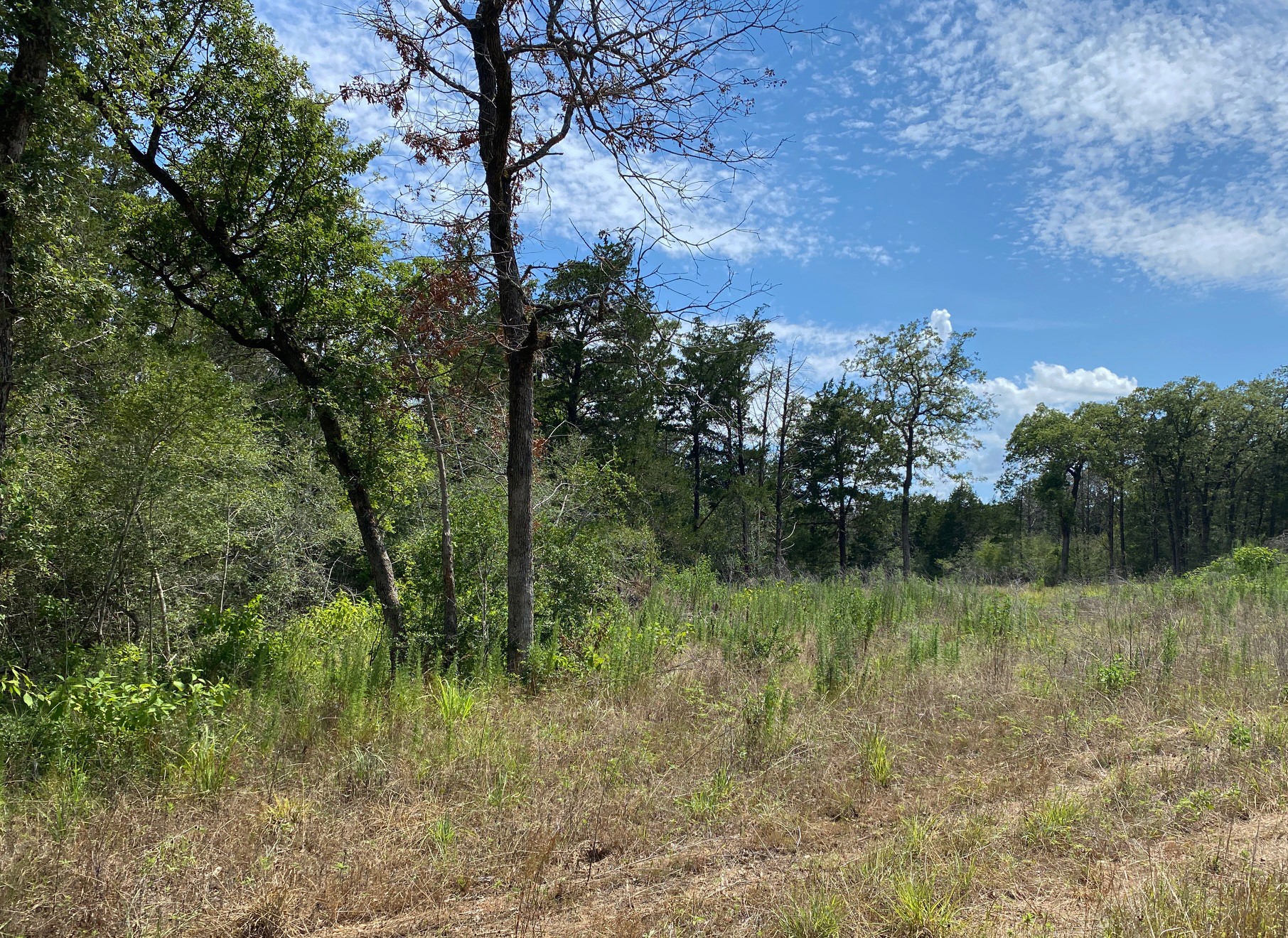 Tbd High Crossing Road Tract 8 Property Photo 1