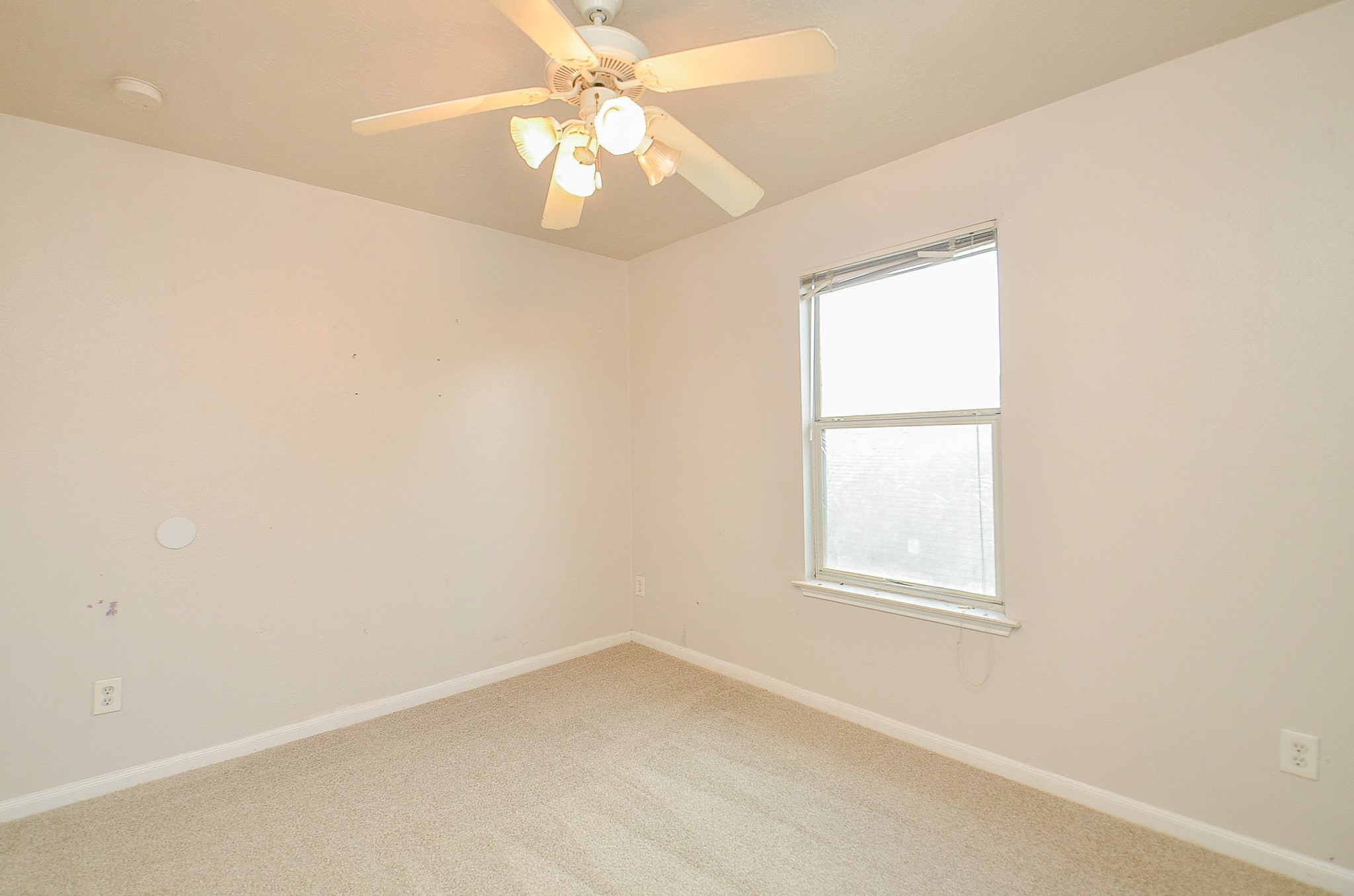 20726 Hardwick Oaks Drive Property Photo 12