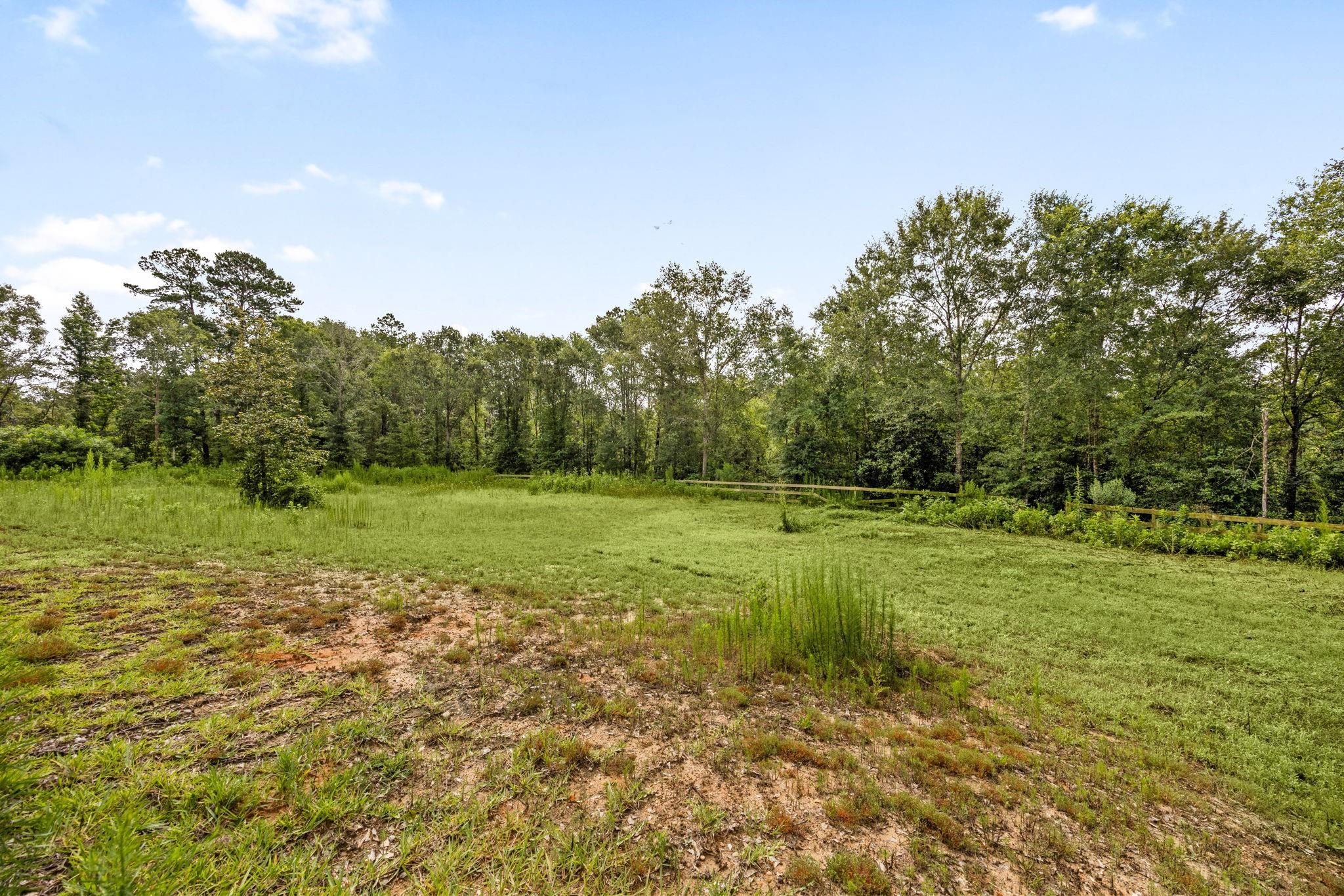 151 Quiet Springs Trail Property Photo 34