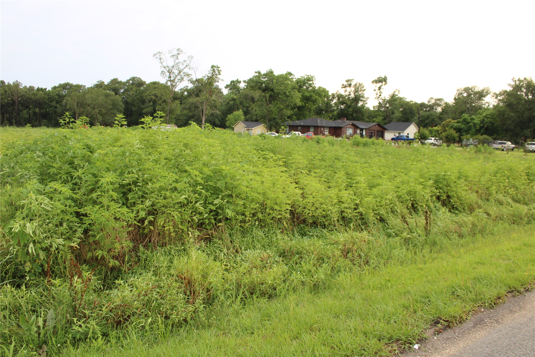 6116 Hermann Road Property Photo 4