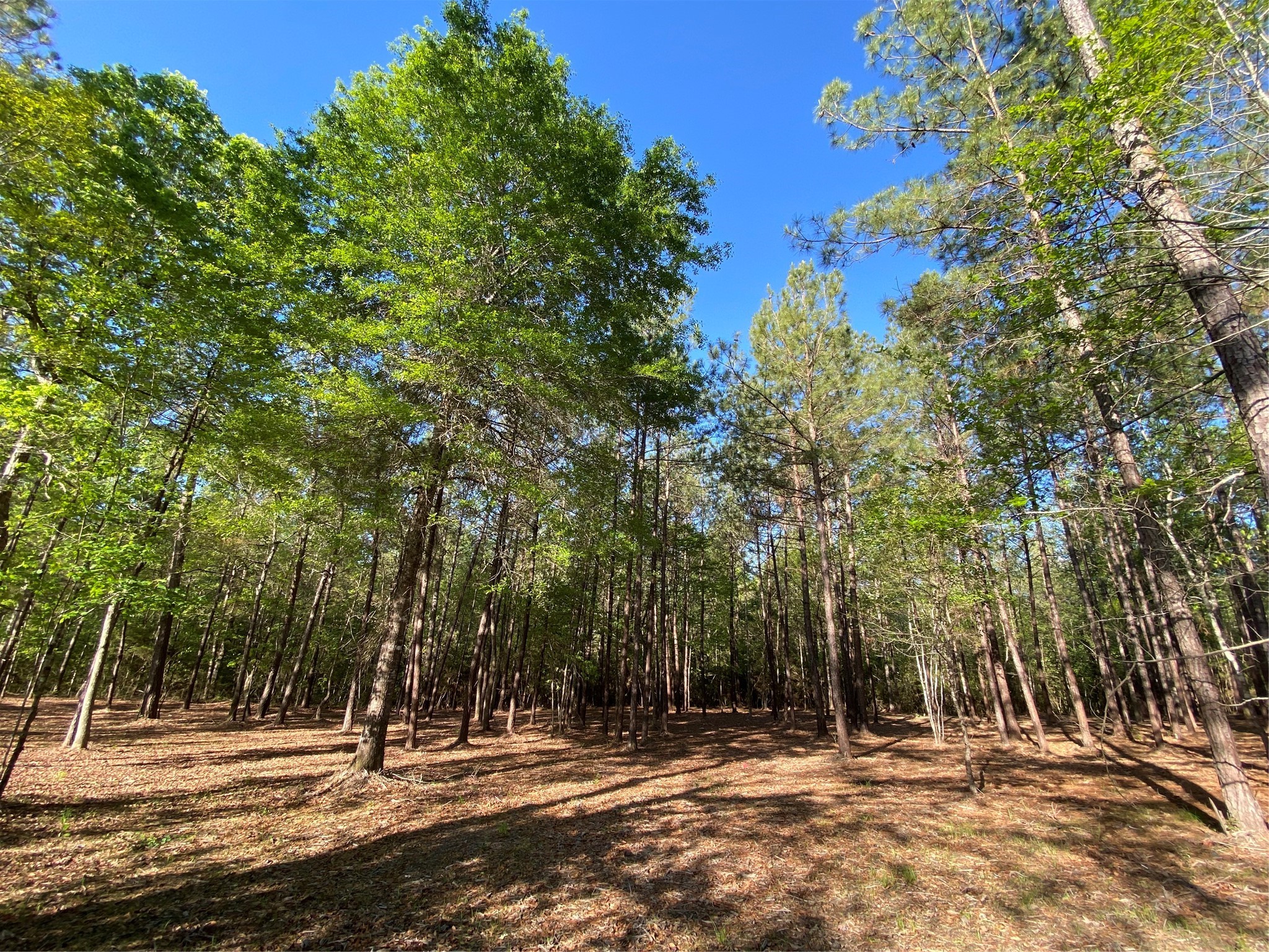 309 Exploration Road Property Photo