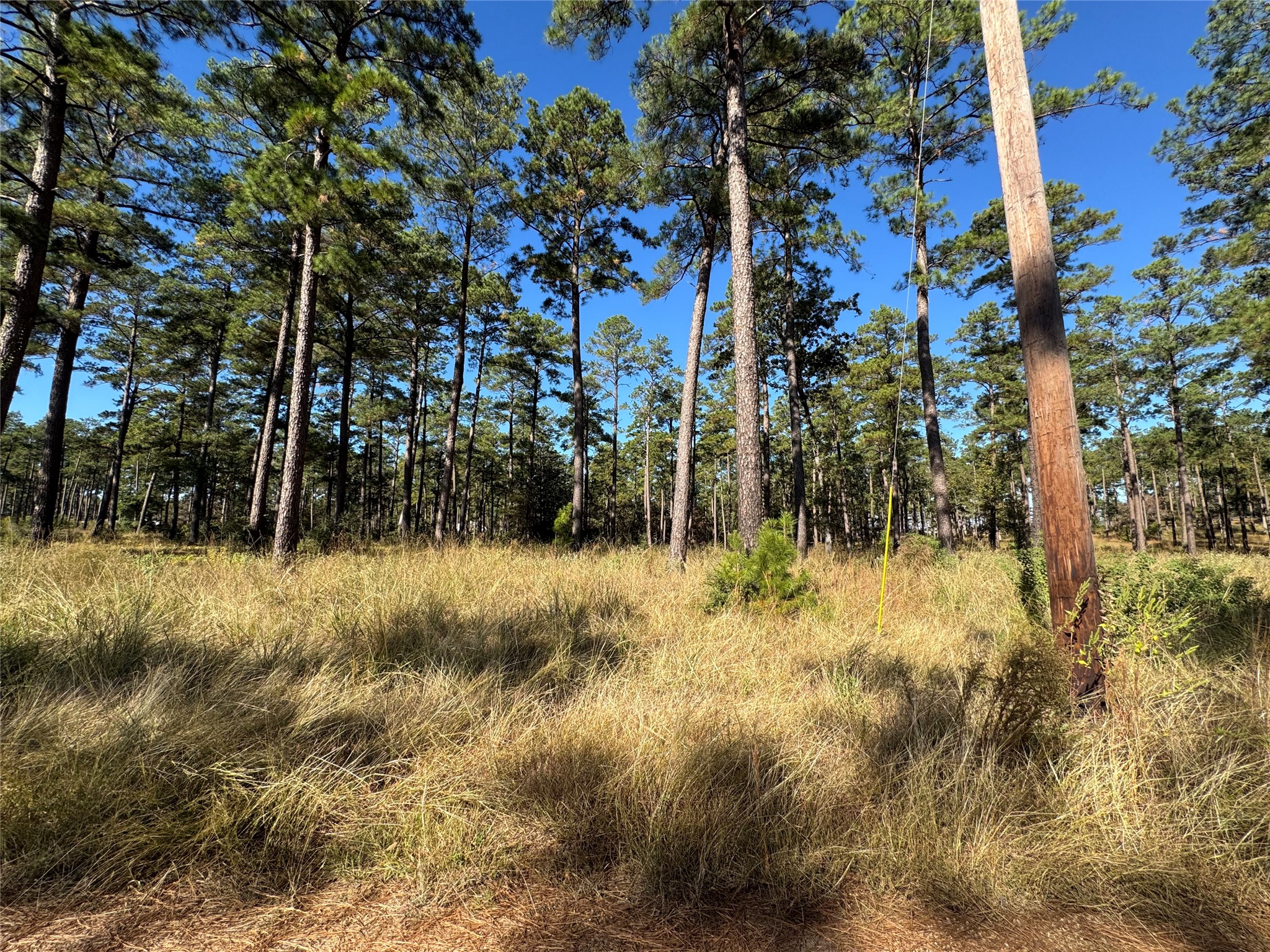 057 Private Road 6028 Property Photo 4