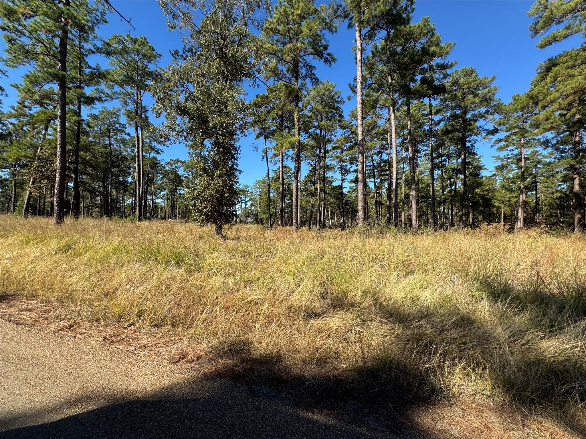 057 Private Road 6028 Property Photo 6