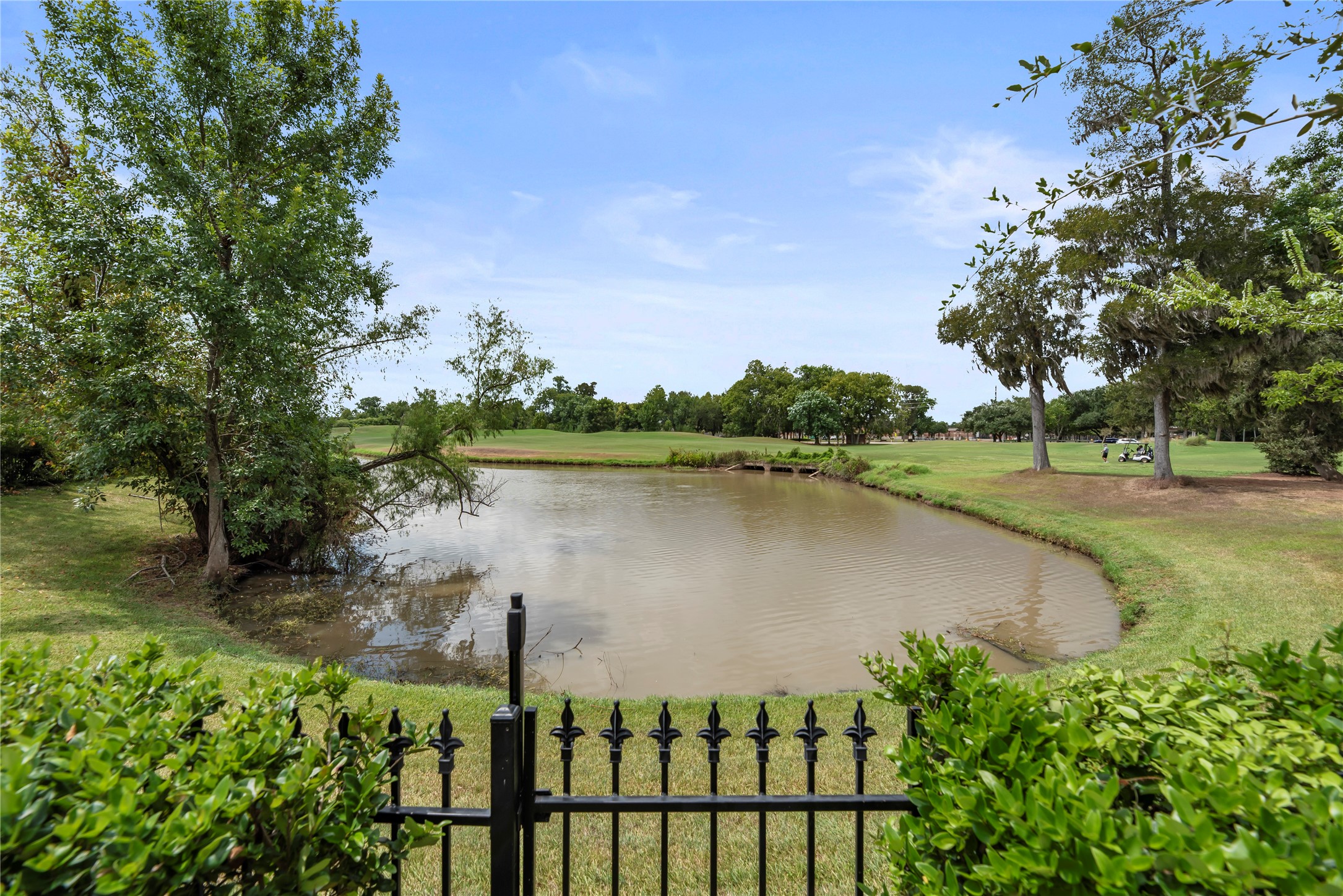 6 Vieux Carre Property Photo 14