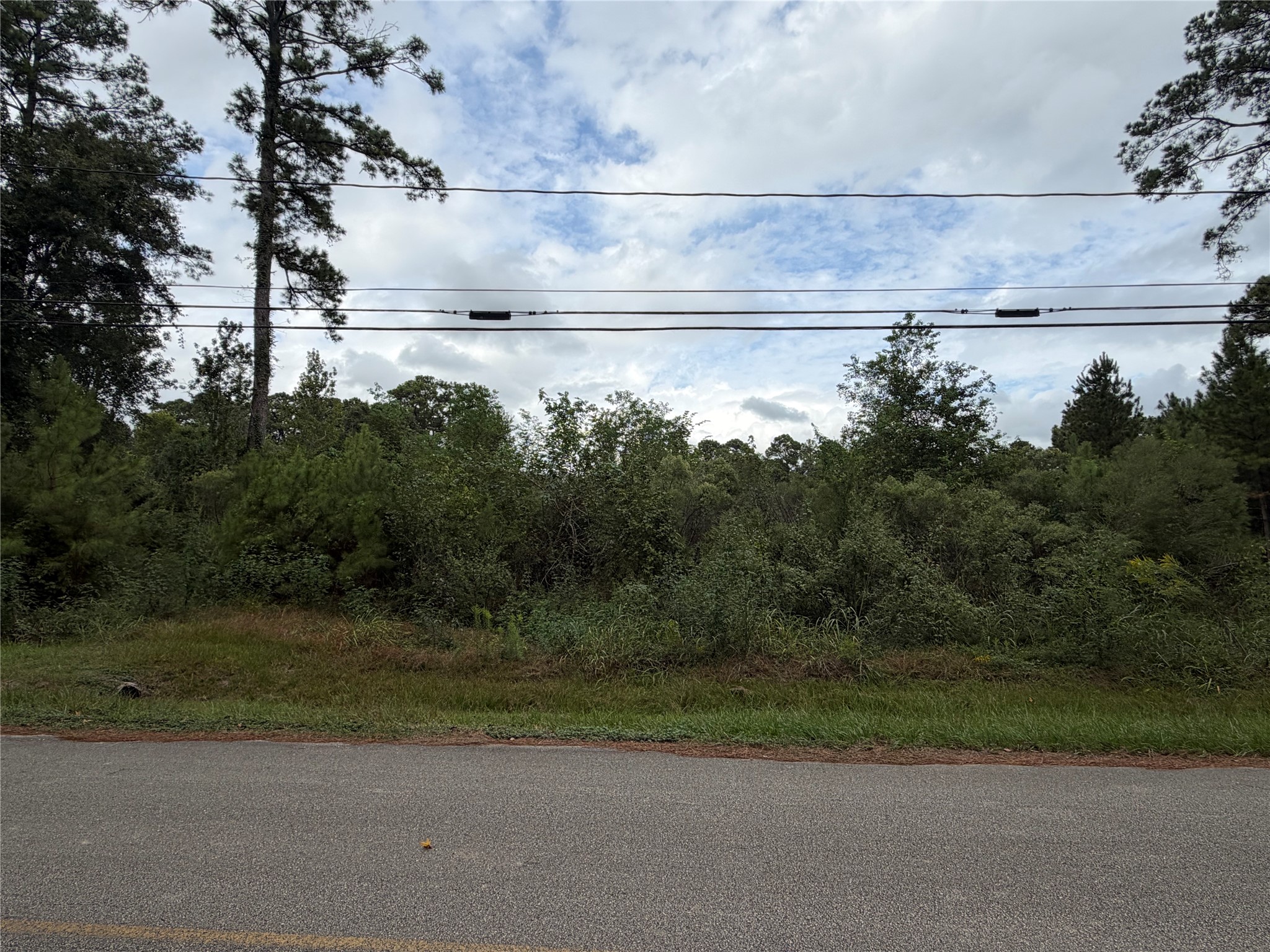 318 Elk Drive Property Photo 2