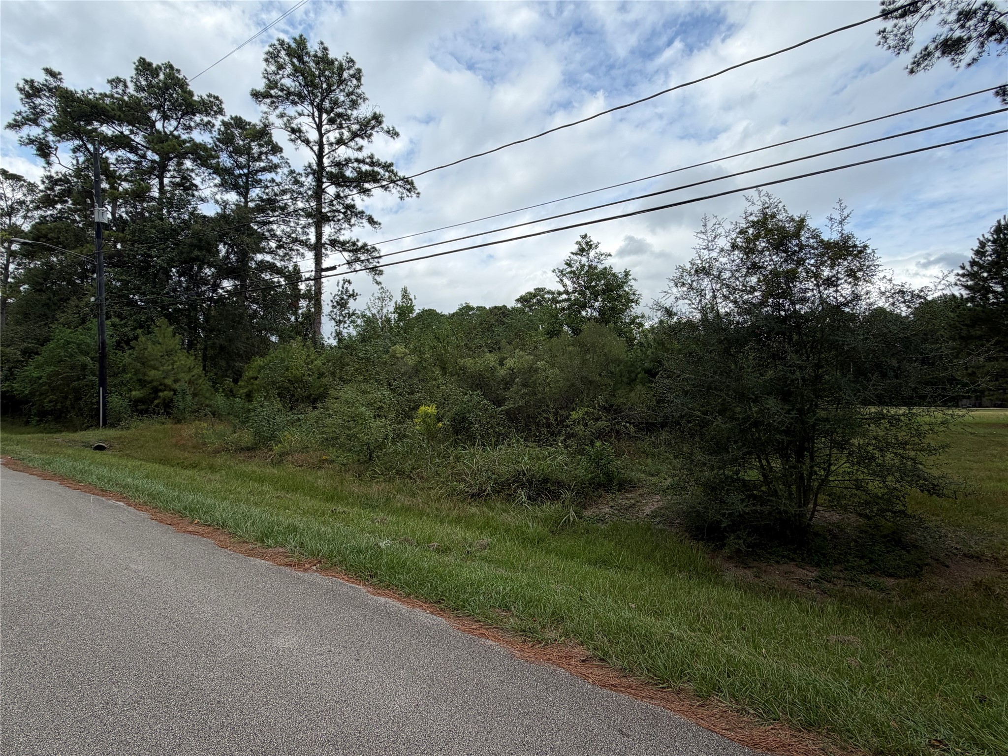 318 Elk Drive Property Photo 3