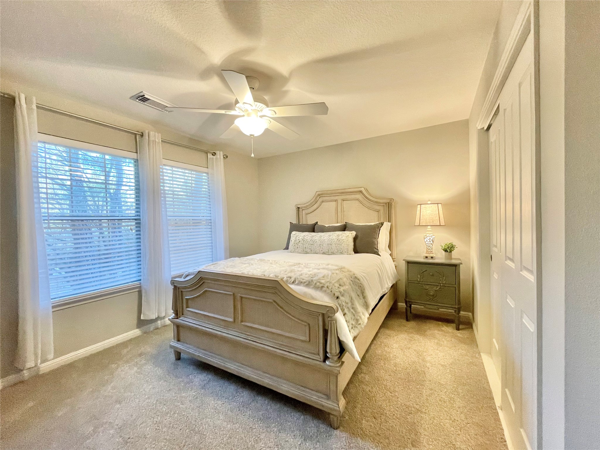 46 Flickering Sun Court Property Photo 27