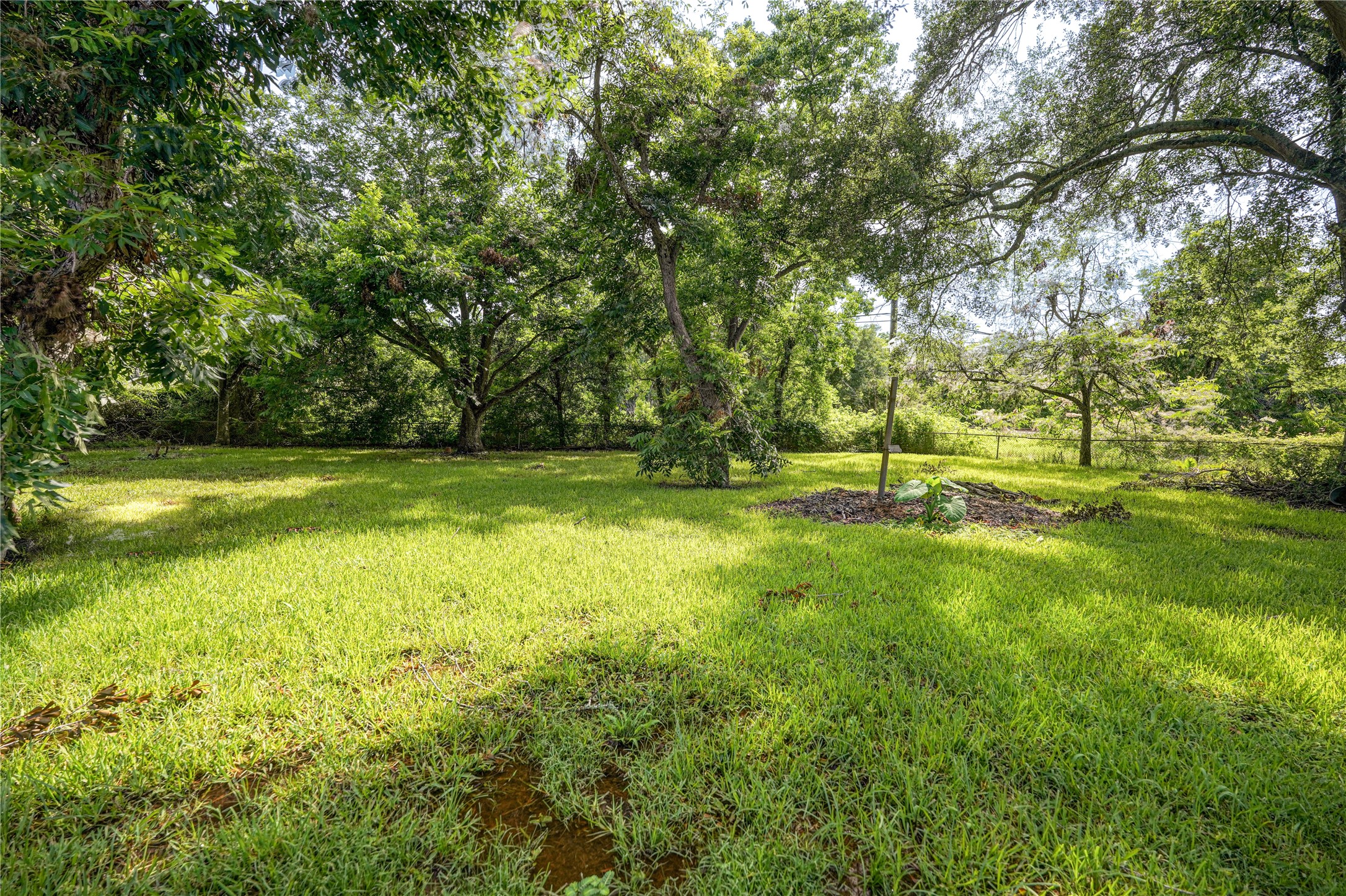 1319 Elm Street Property Photo 46