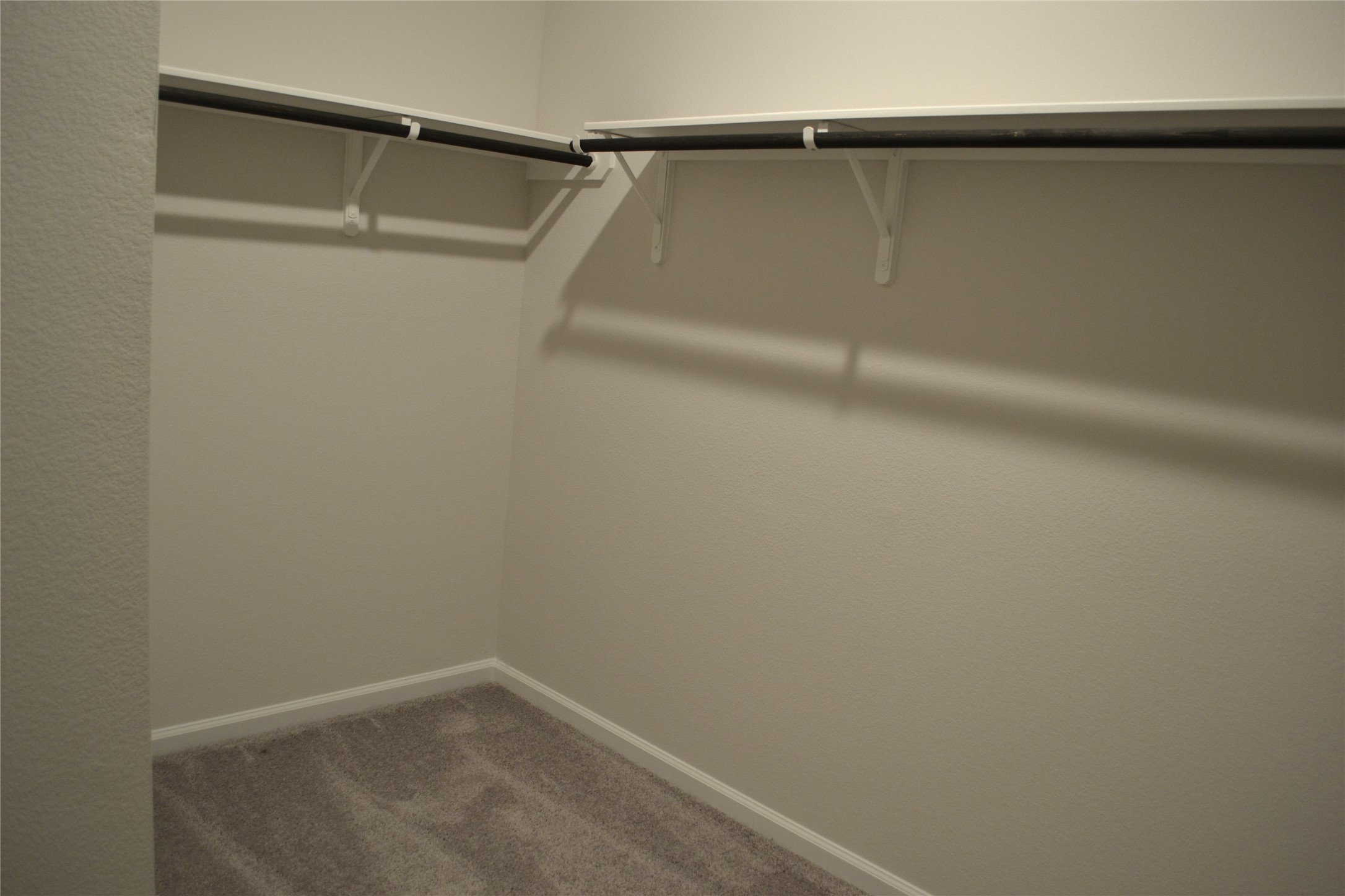 13223 Hayden Peak Drive Property Photo 14