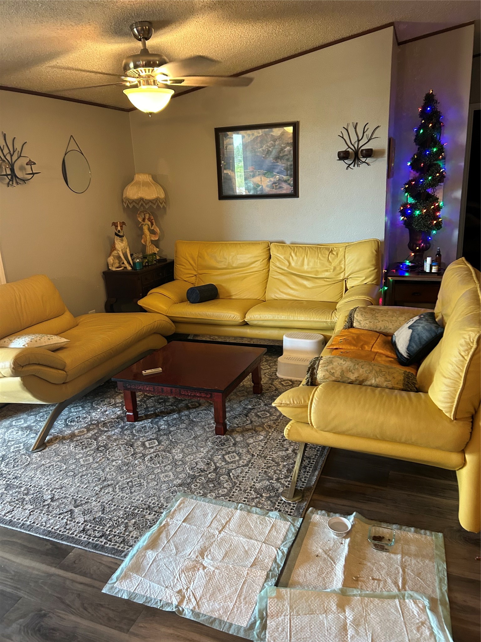 1109 Road 57071 Property Photo 5