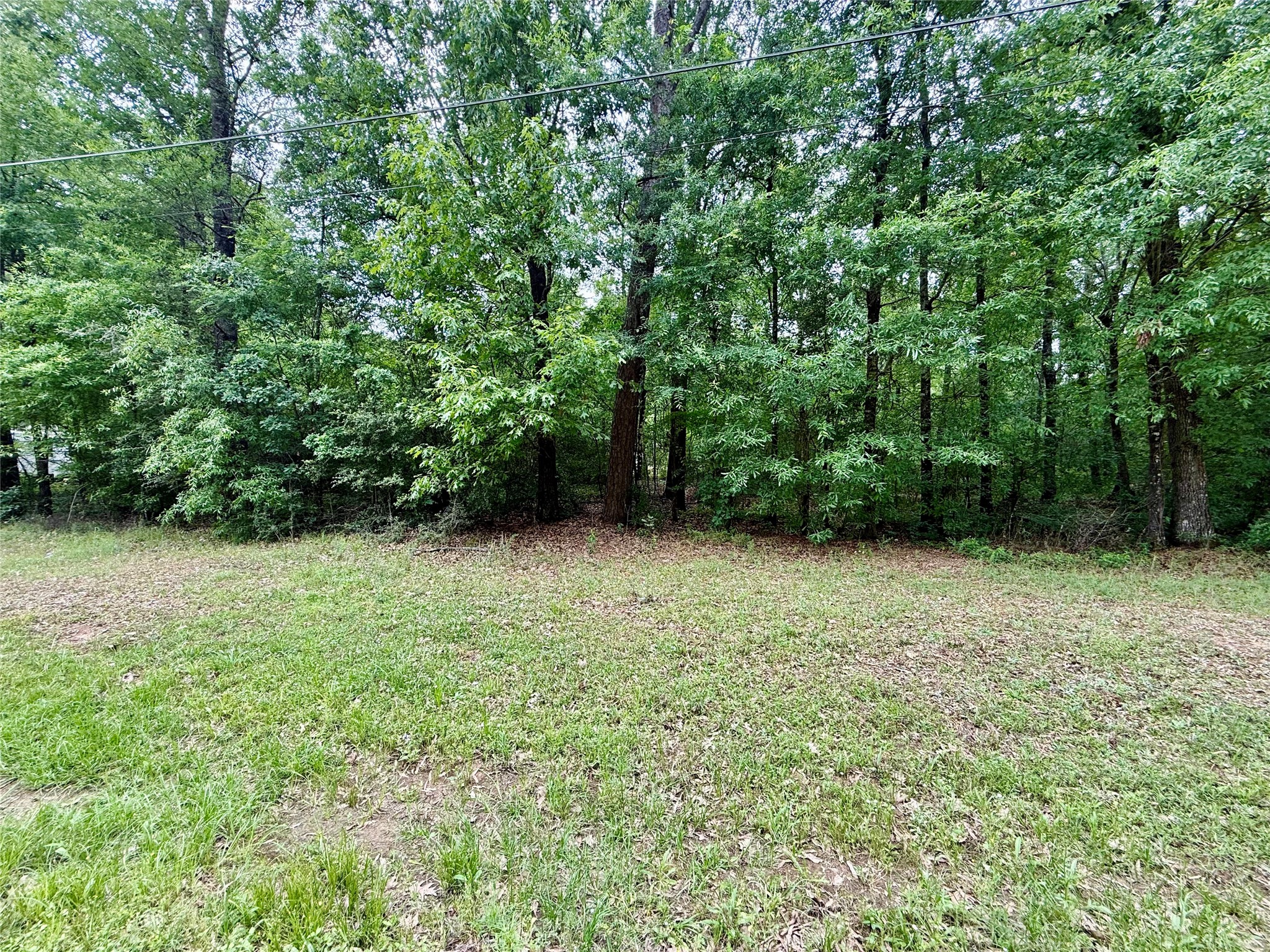 151 Moonlite Drive Property Photo 1