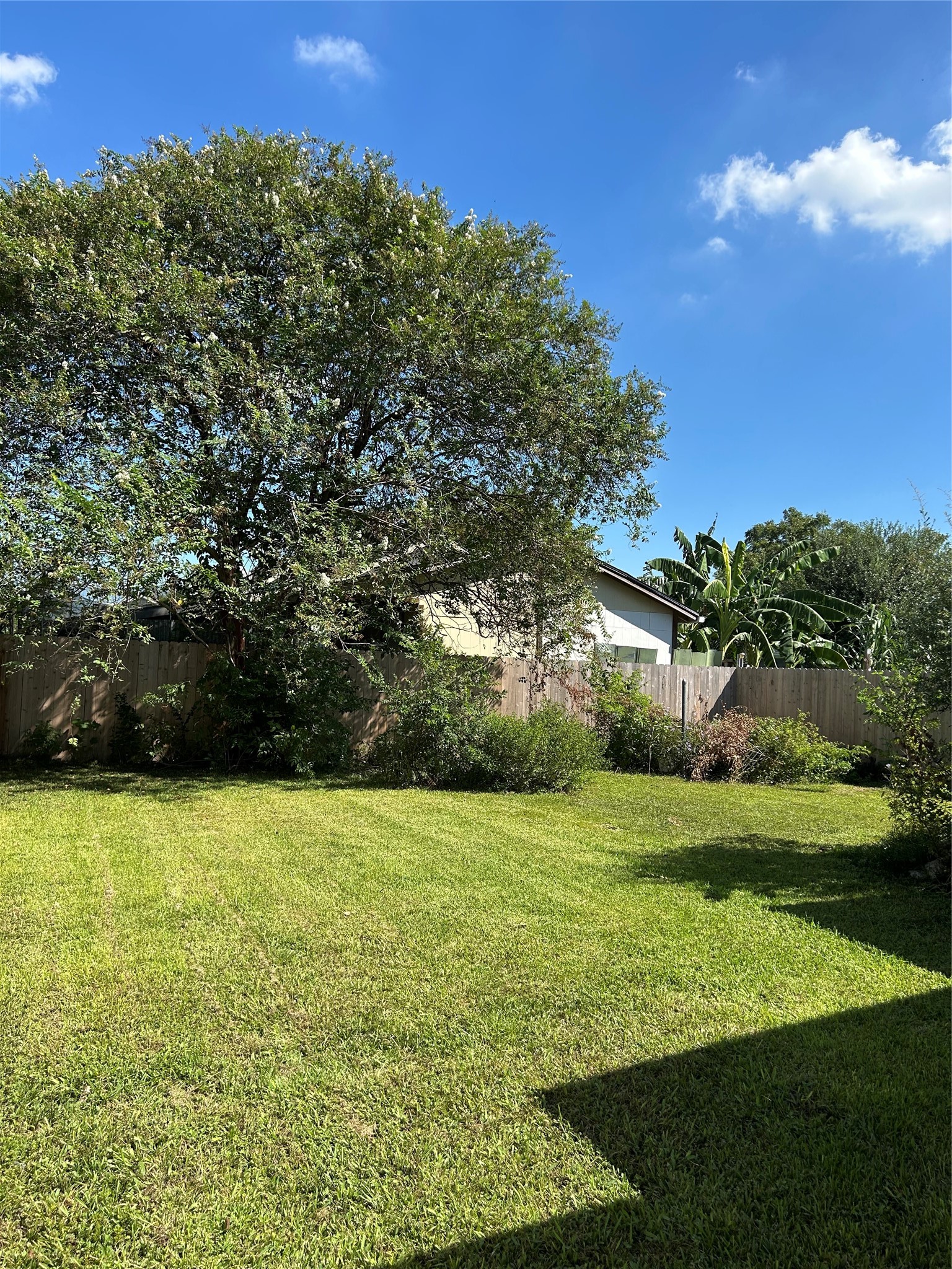 3811 Lila Street Property Photo 4