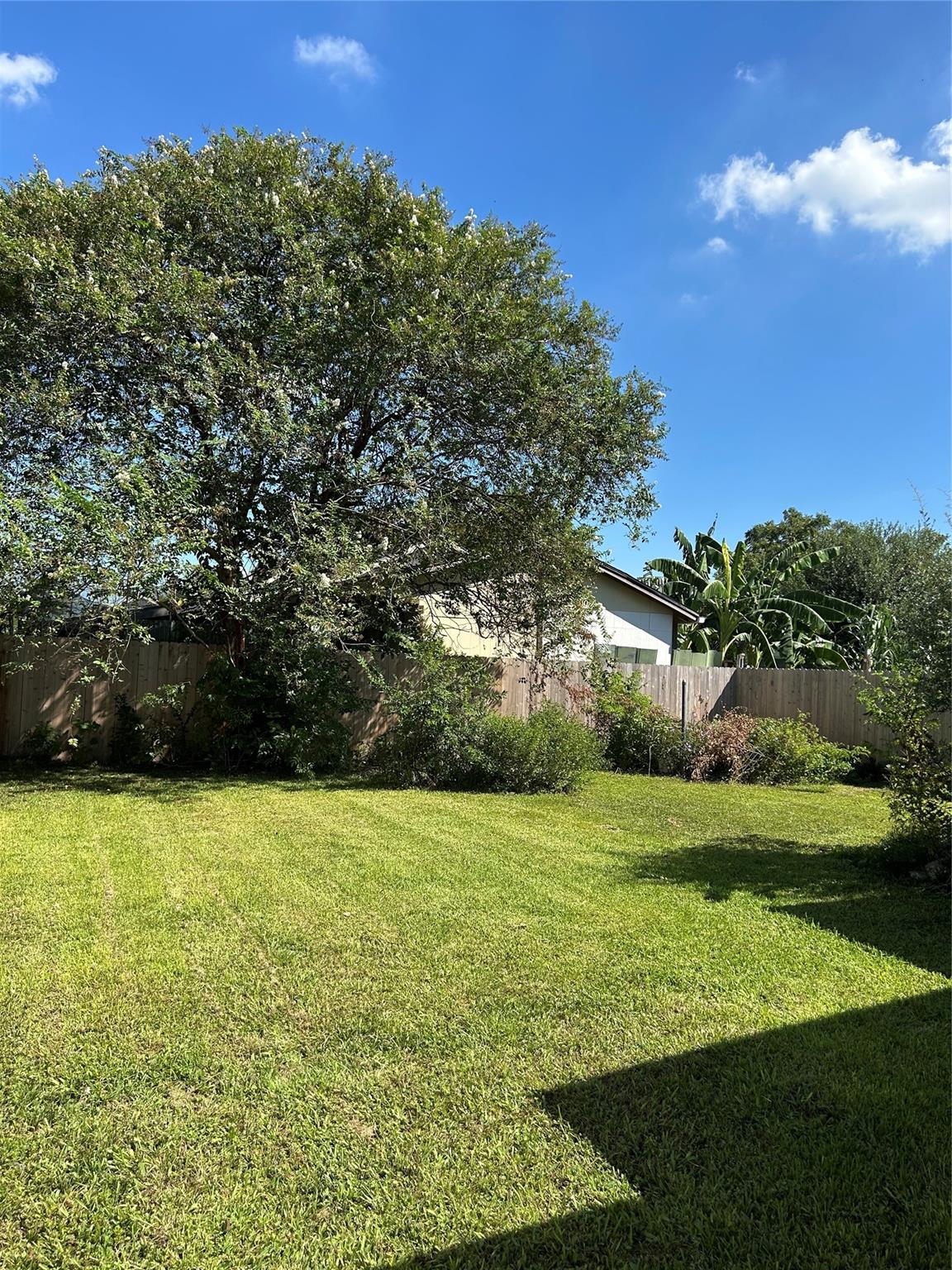3811 Lila Street, Houston Tx 77026 Property Photo 4