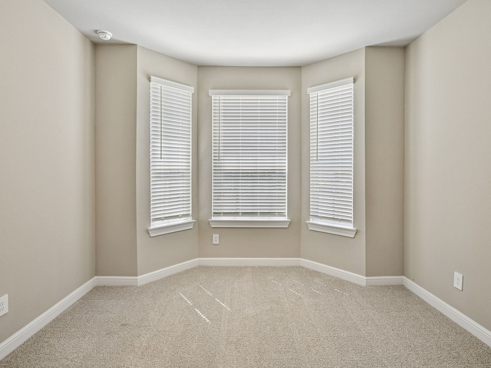 5225 Great Oaks Drive Property Photo 6