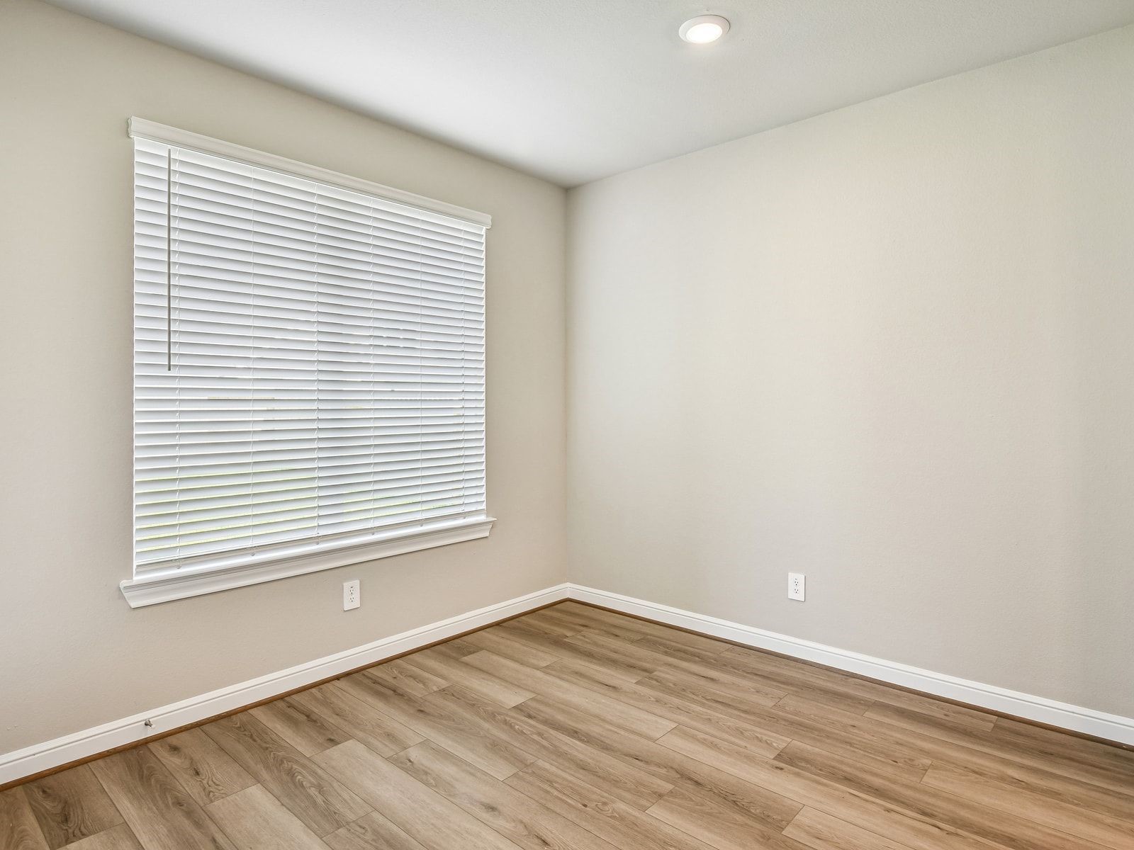 5225 Great Oaks Drive Property Photo 9