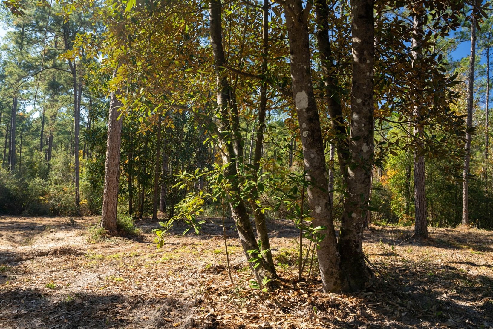 445 County Road 3190 Property Photo 1