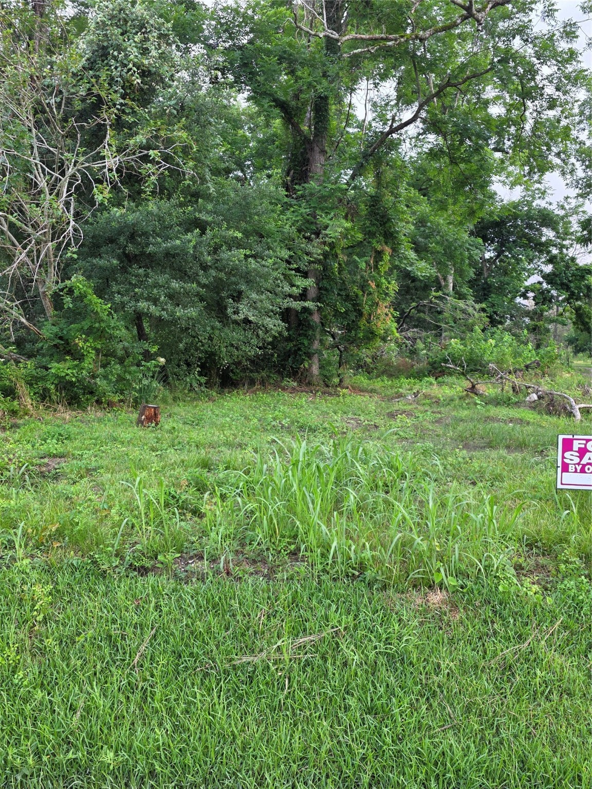 1311 W De Soto Street Nw Property Photo 5