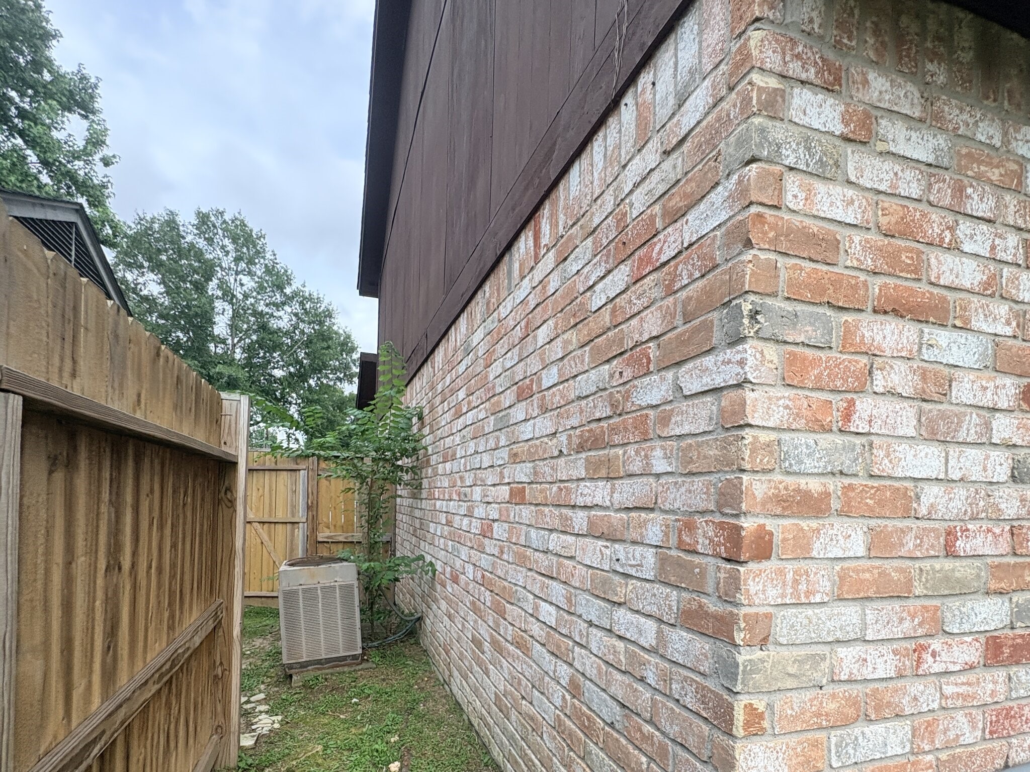 23005 Apple Arbor Drive Property Photo 5