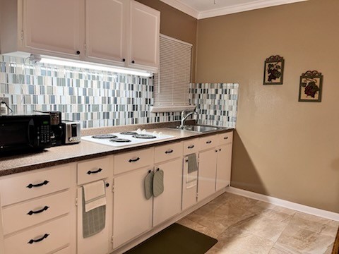 3231 Ashton Park Drive Property Photo 11