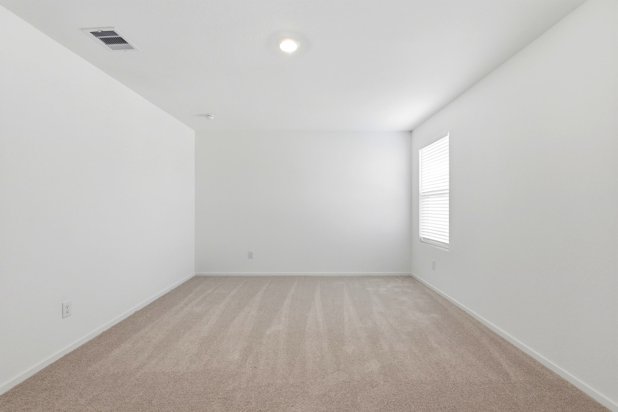 629 Craven Street Property Photo 23