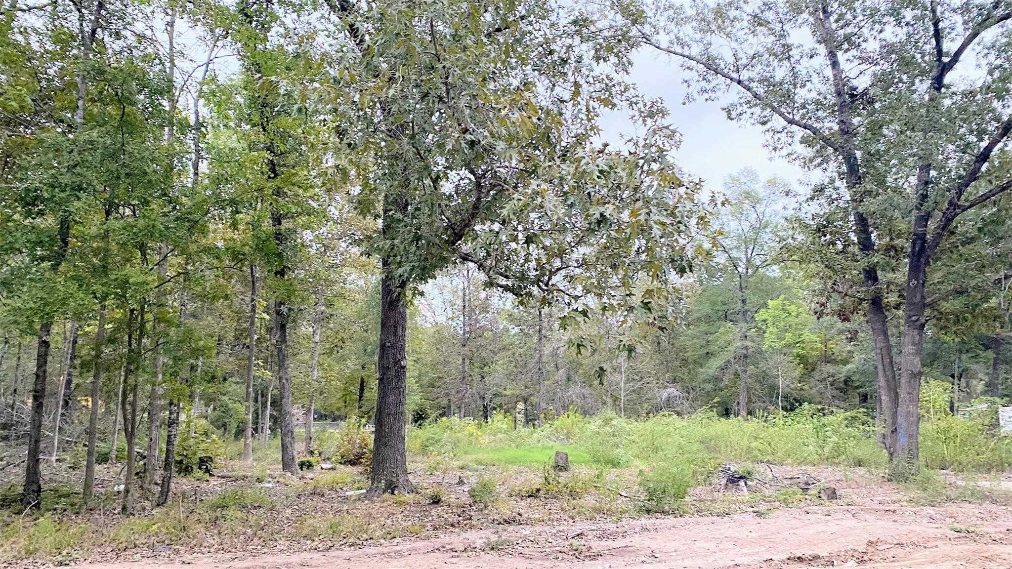 Tbd Panther Lane Property Photo 3