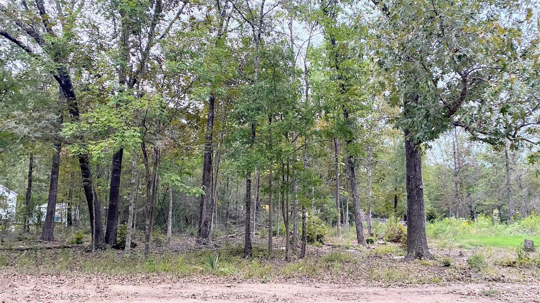 Tbd Panther Lane Property Photo 8