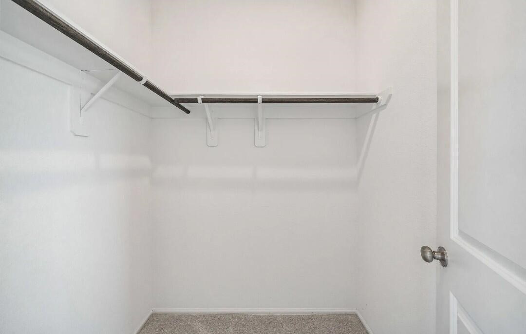 20855 Cropani Shadow Drive Property Photo 15