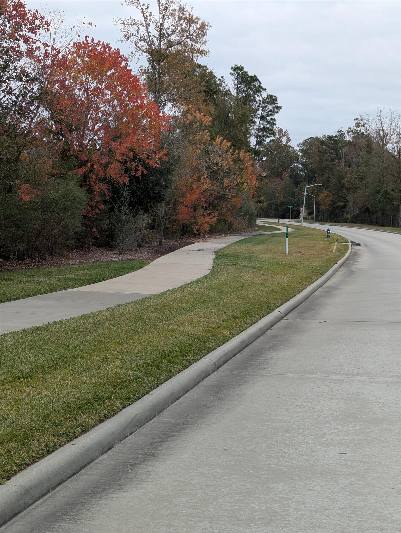 20855 Cropani Shadow Drive Property Photo 18