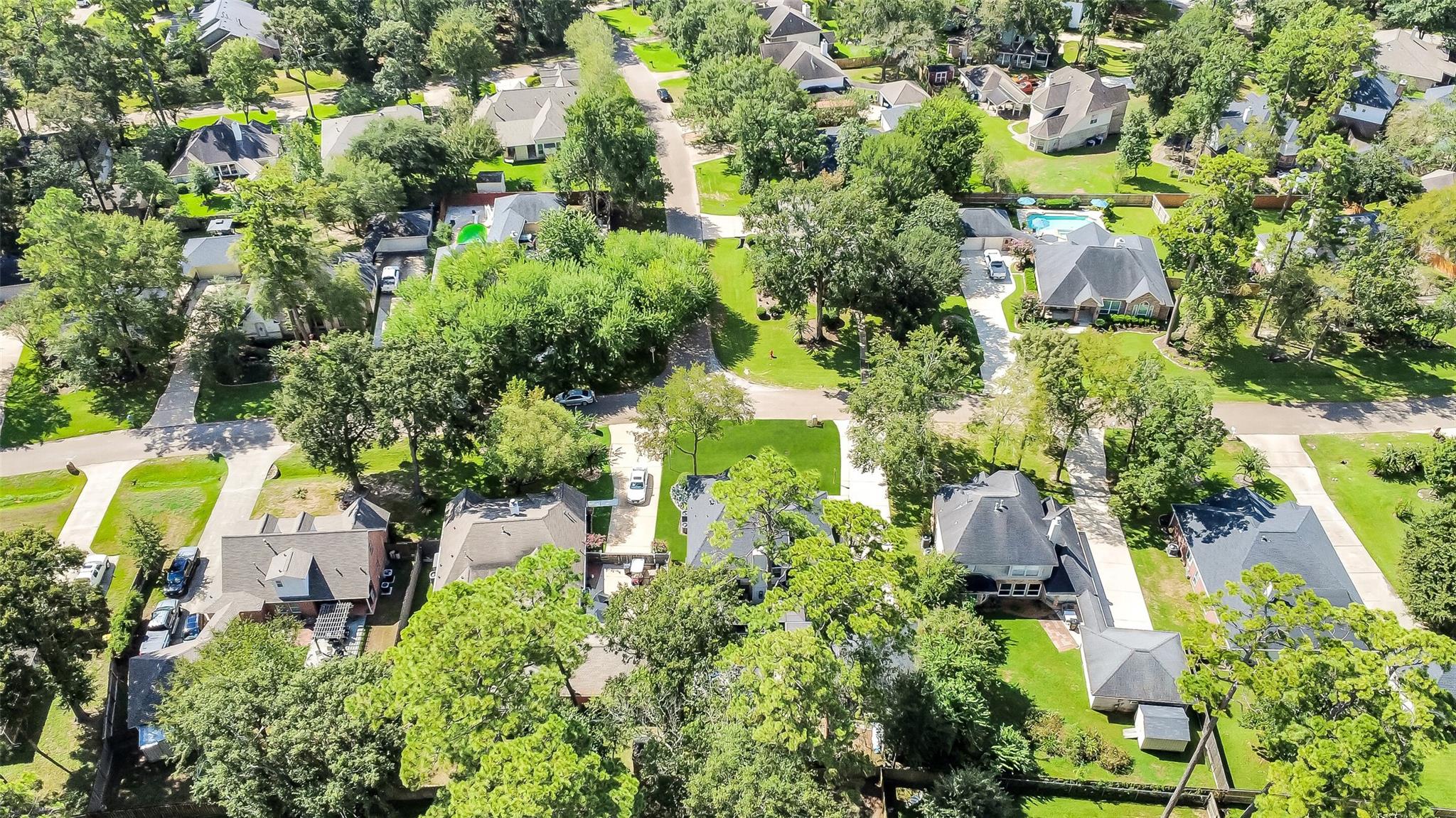 723 Forest Lane Drive, Conroe Tx 77302 Property Photo 44