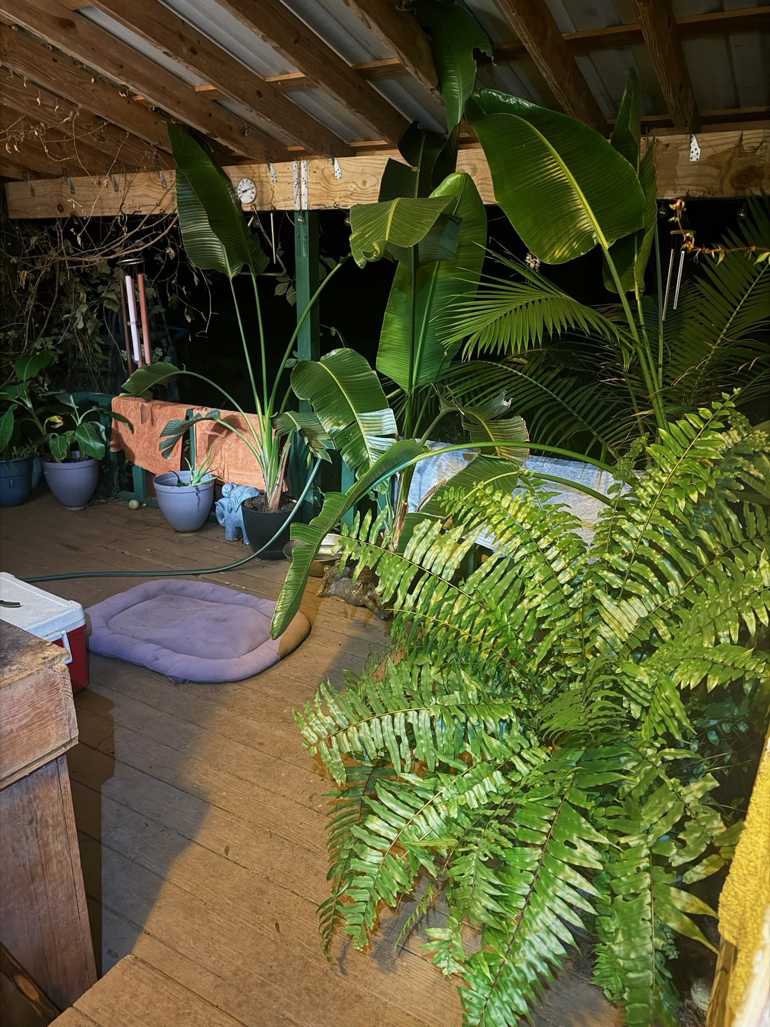 20218 Oak Forest Road Property Photo 13