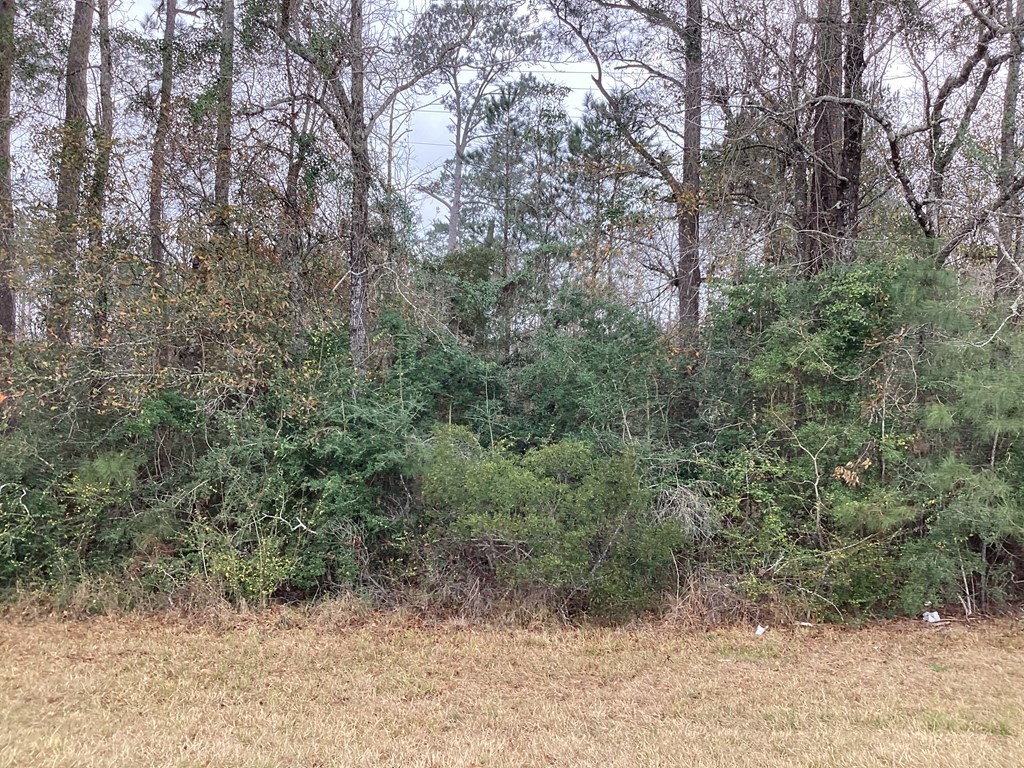 16332 Highway 96 S Property Photo 2