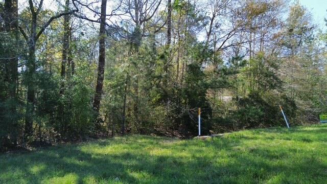 16332 Highway 96 S Property Photo 3
