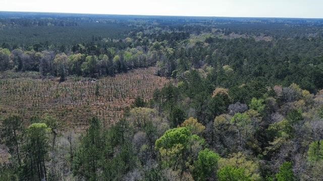 16332 Highway 96 S Property Photo 7