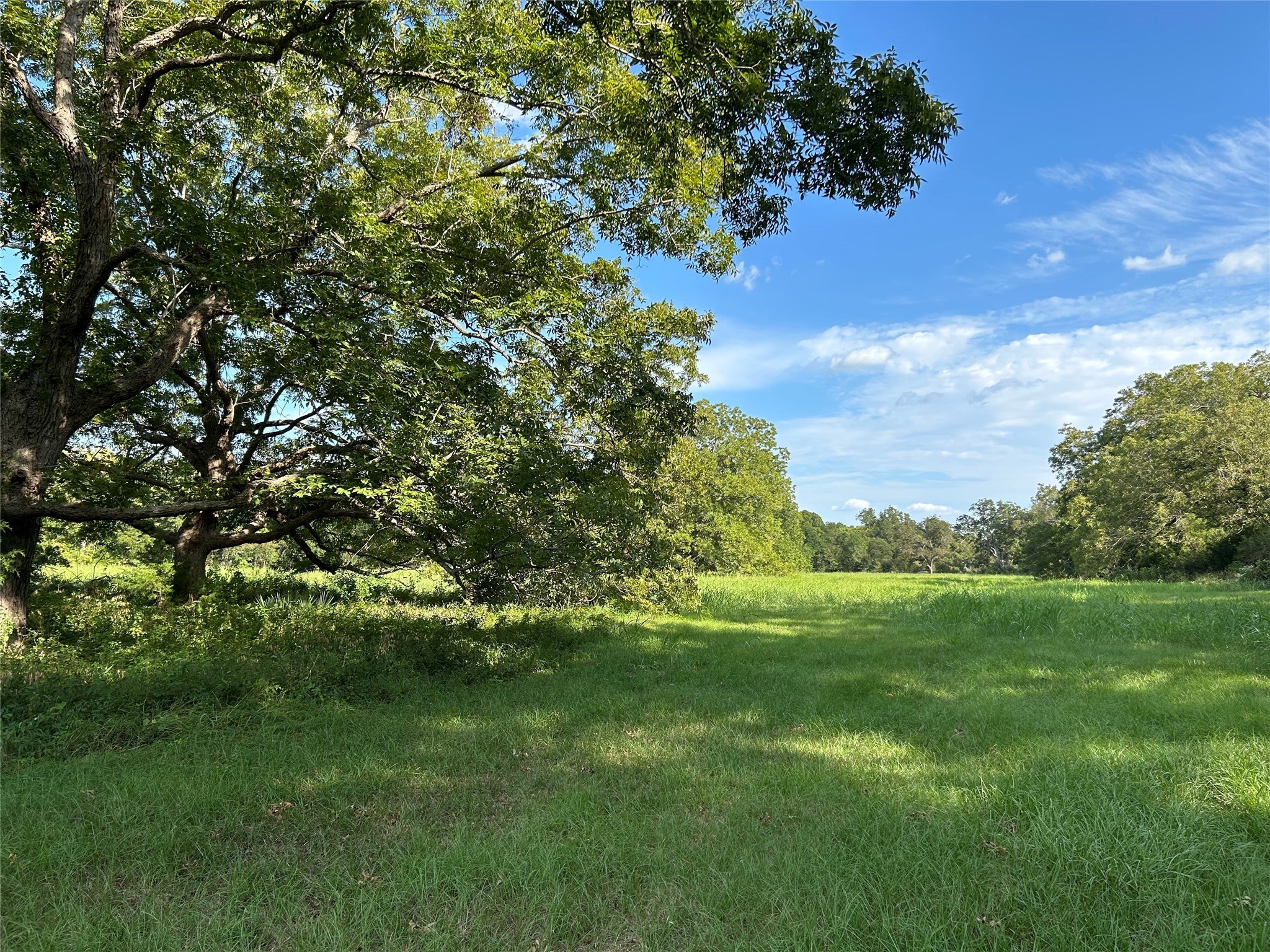 0000 Tx-105 Property Photo 1