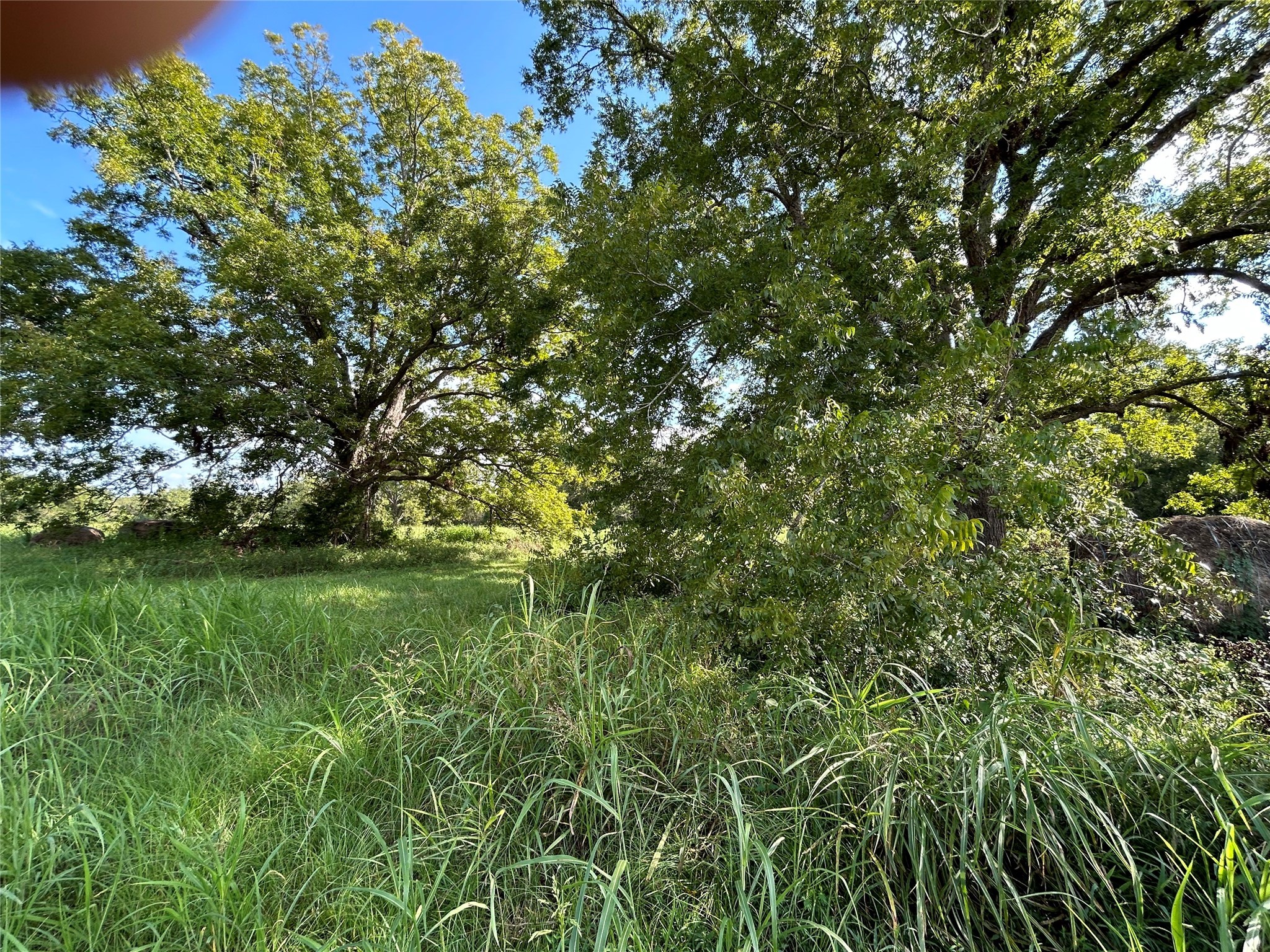 0000 Tx-105 Property Photo 6