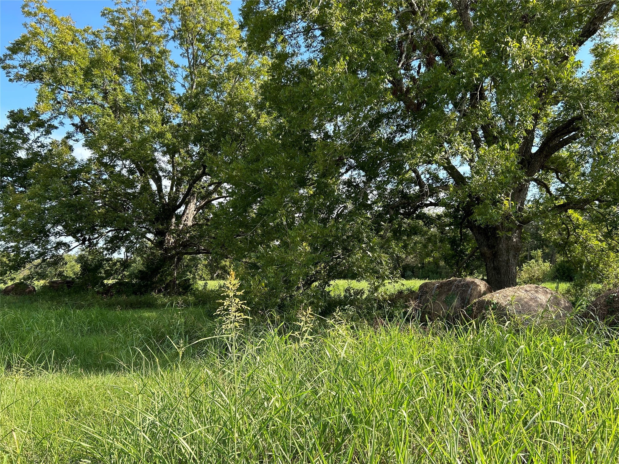 0000 Tx-105 Property Photo 7