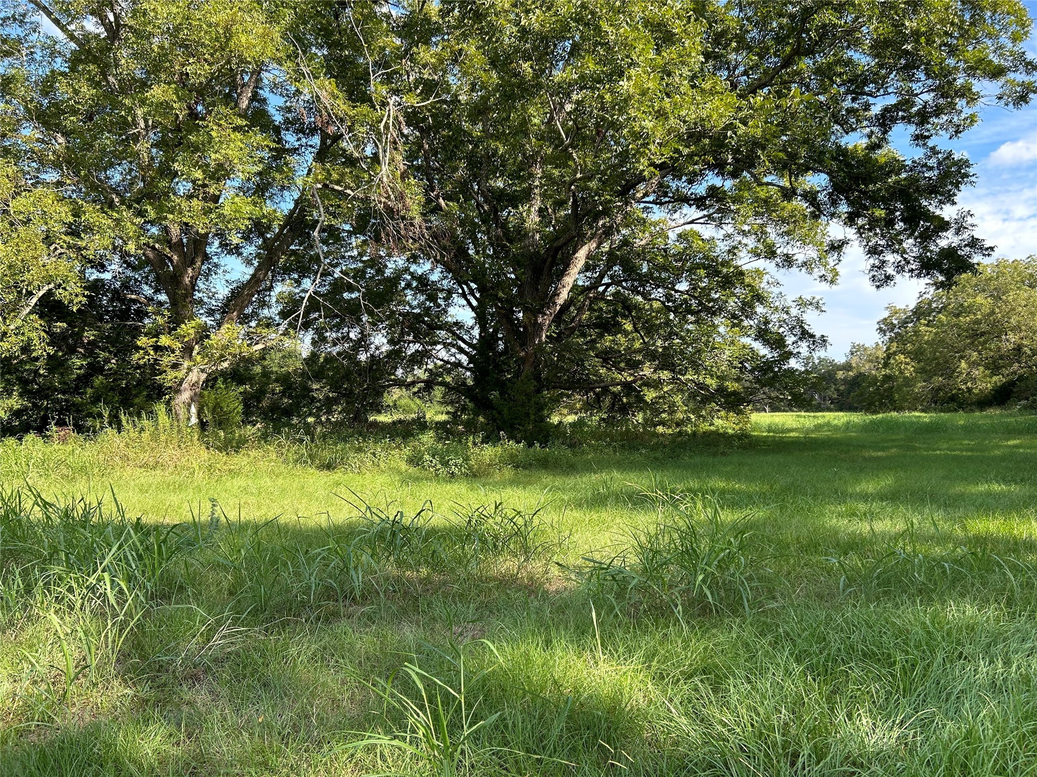 0000 Tx-105 Property Photo 8