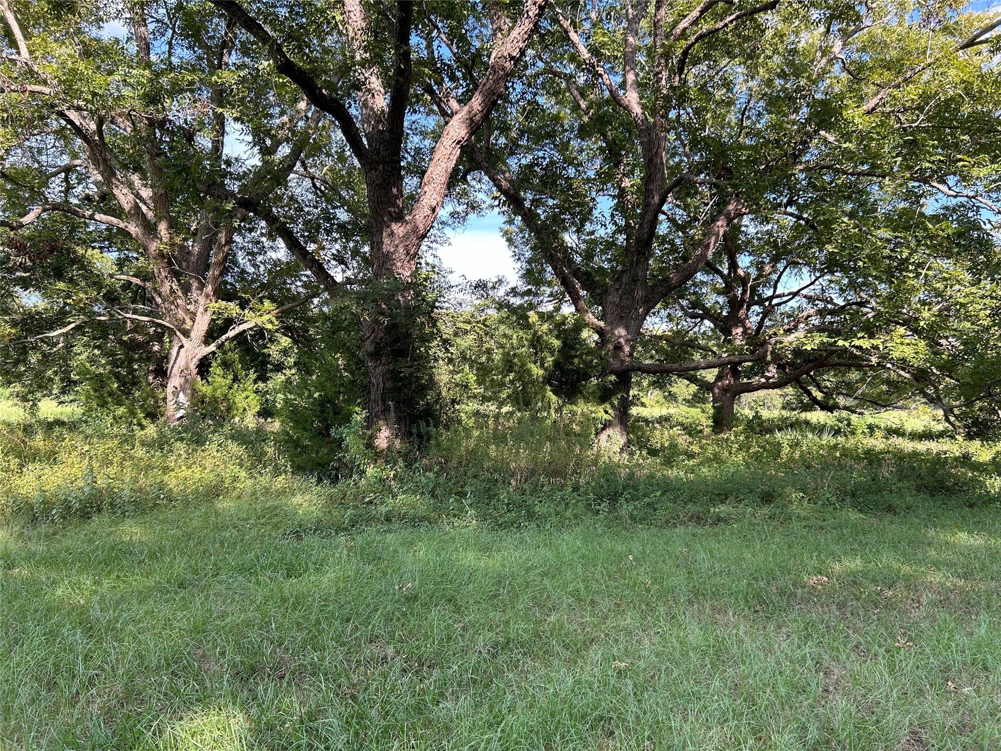 0000 Tx-105 Property Photo 9