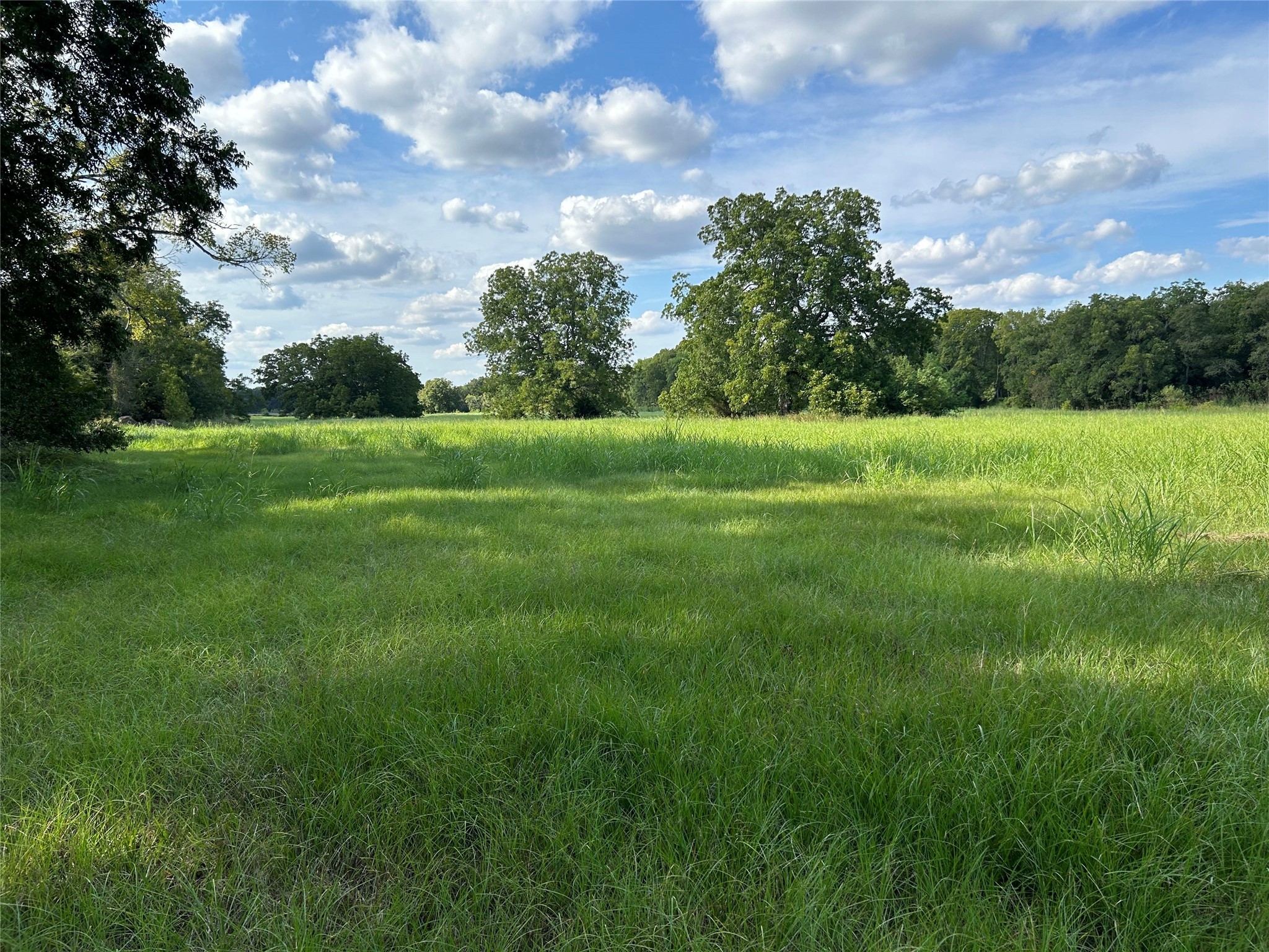 0000 Tx-105 Property Photo 11