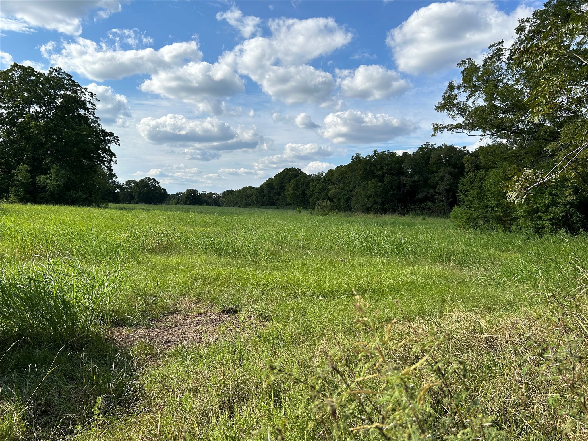 0000 Tx-105 Property Photo 13