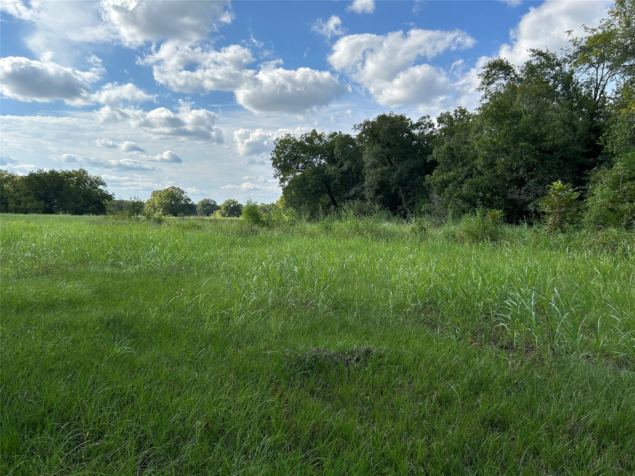 0000 Tx-105 Property Photo 14
