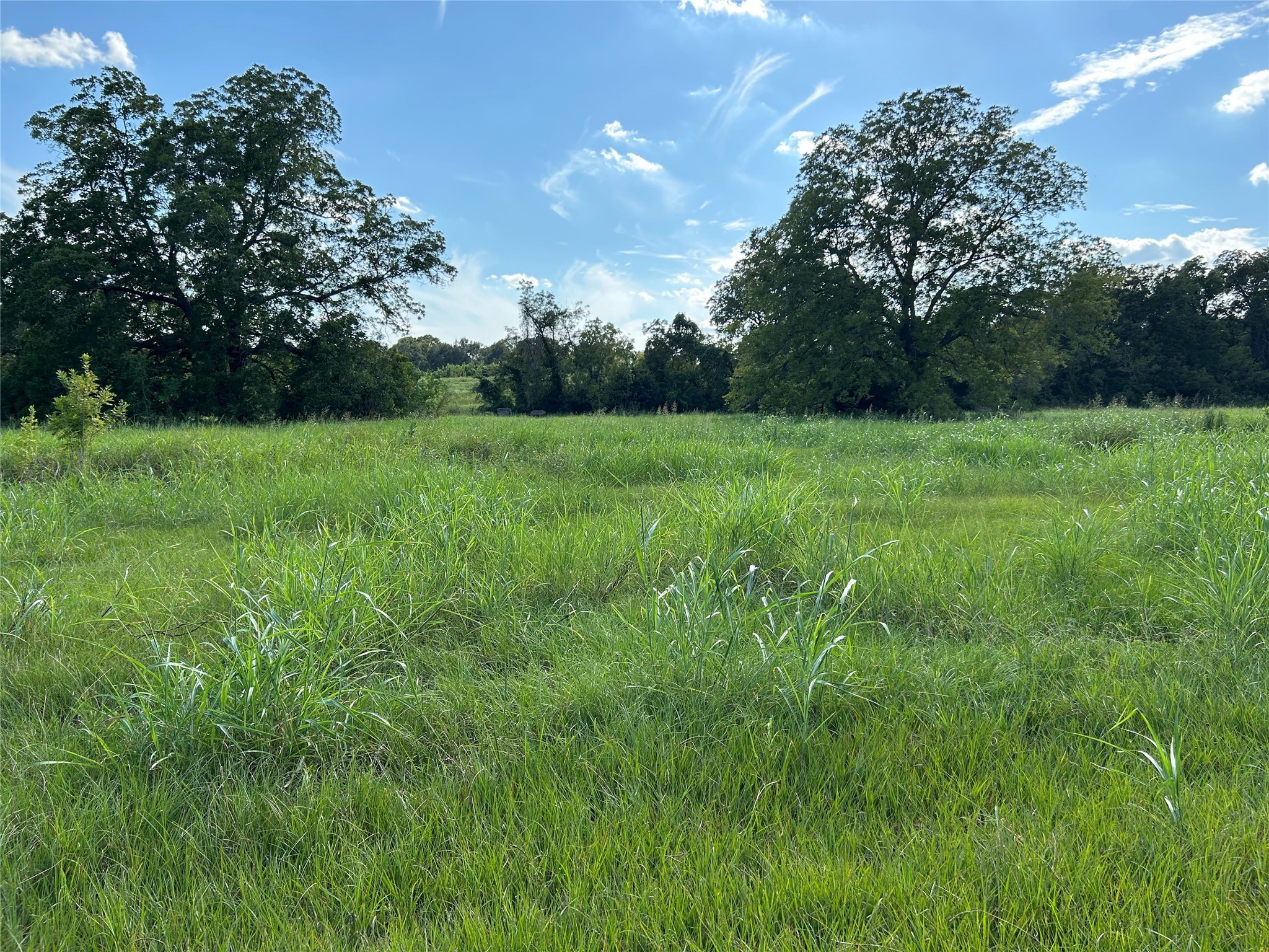 0000 Tx-105 Property Photo 16