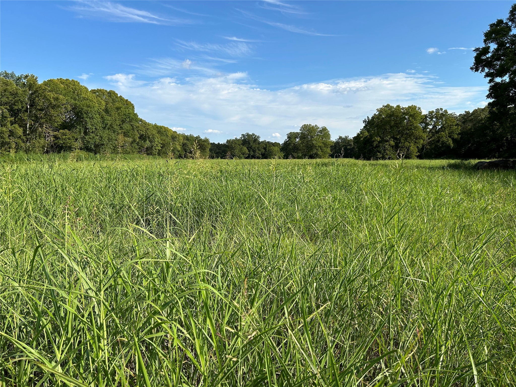 0000 Tx-105 Property Photo 17