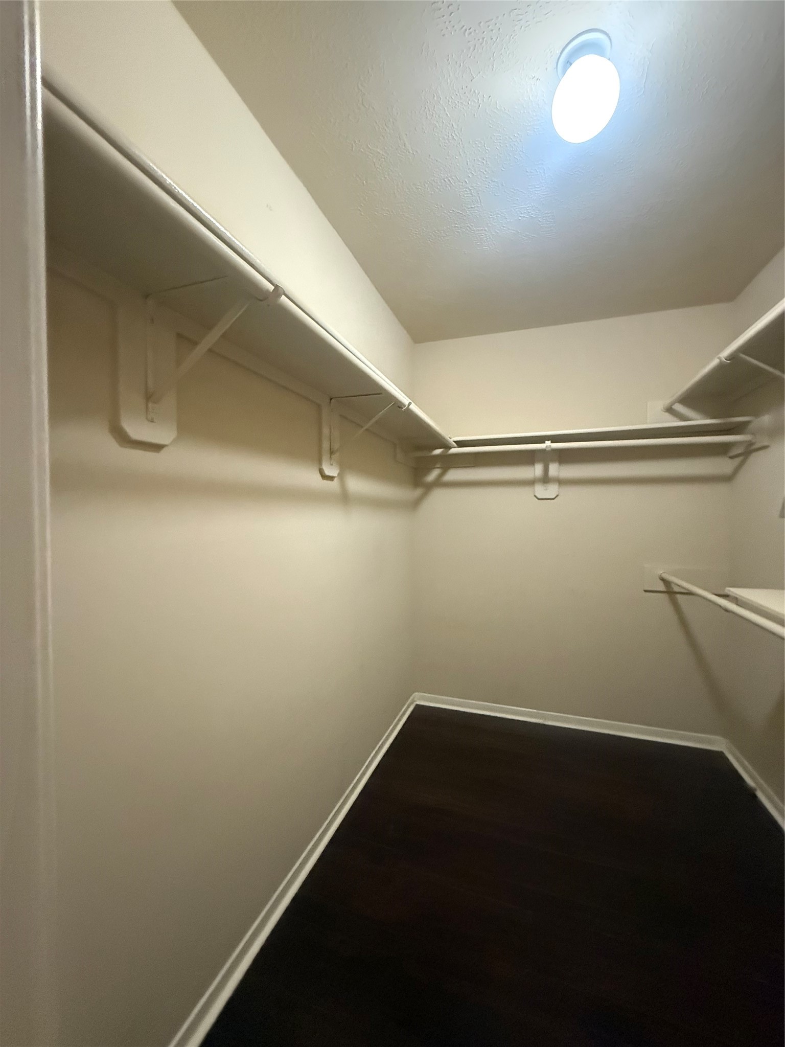 8210 Paddington Place Drive Property Photo 17