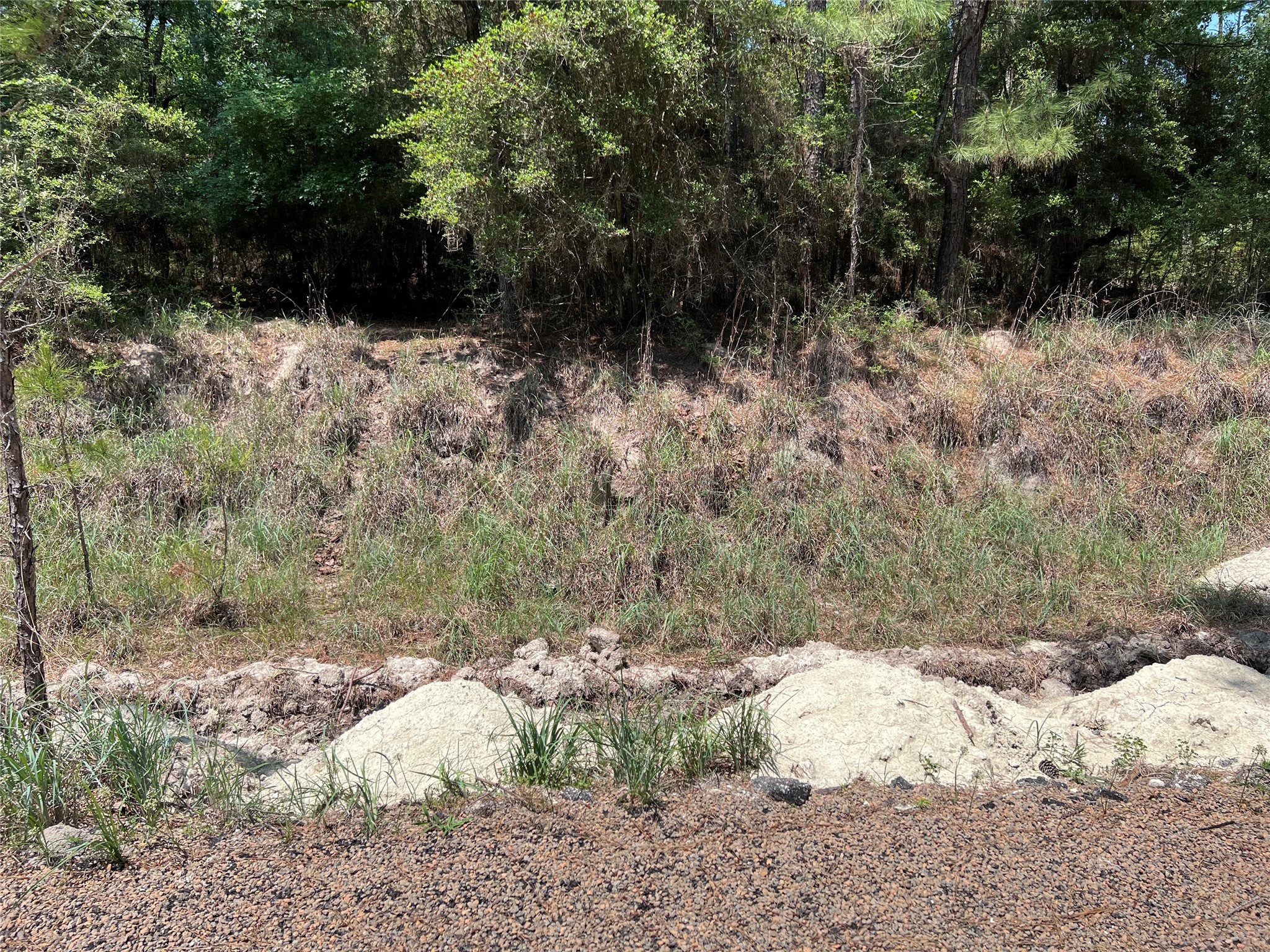 Tbd E Moonlight Drive Property Photo 6